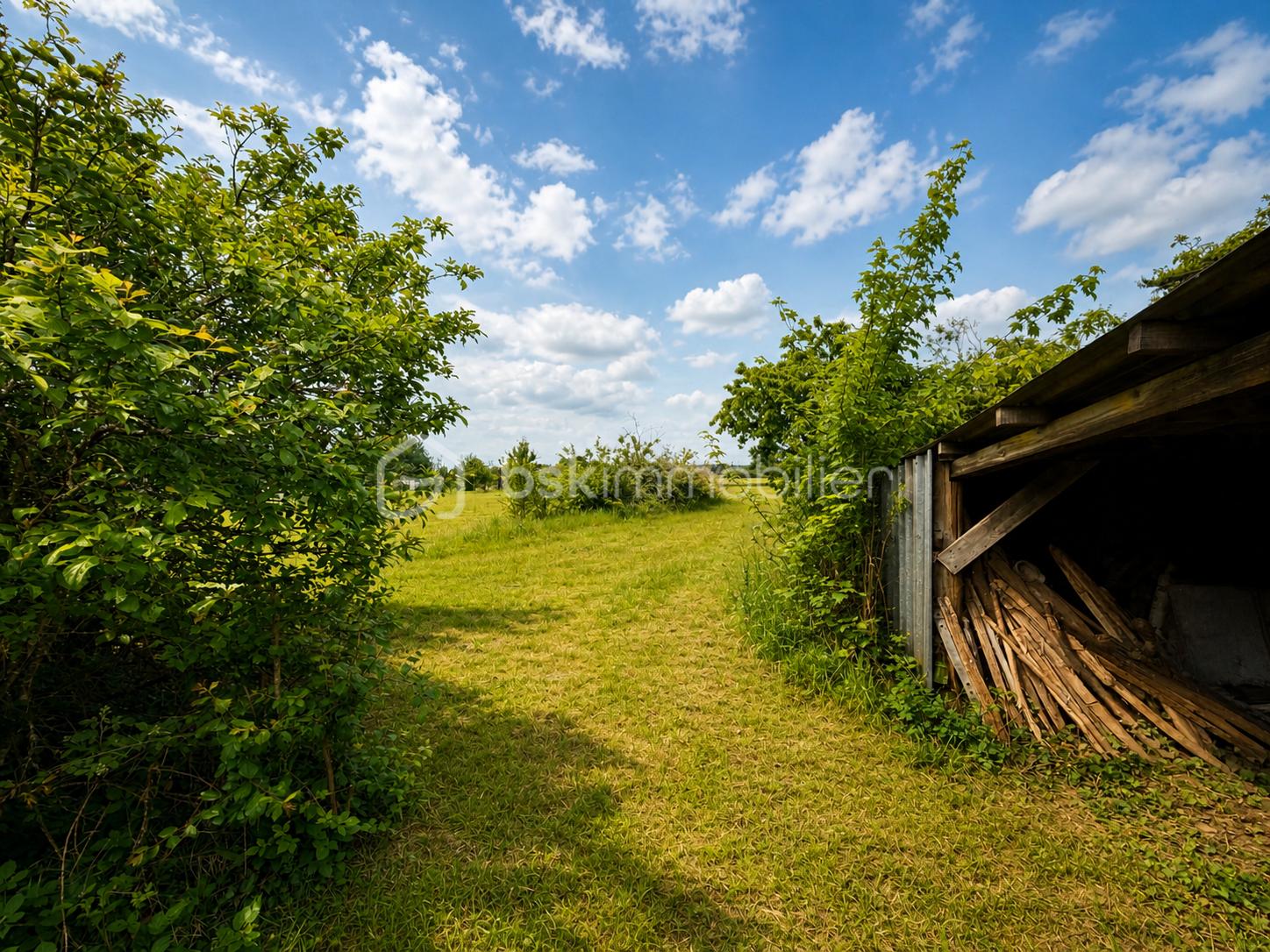 image00003.png