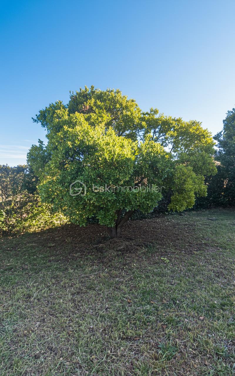 Maison traditionnelle de 95,43 m² - generated_2026-02-09T11_45_57.177.jpg