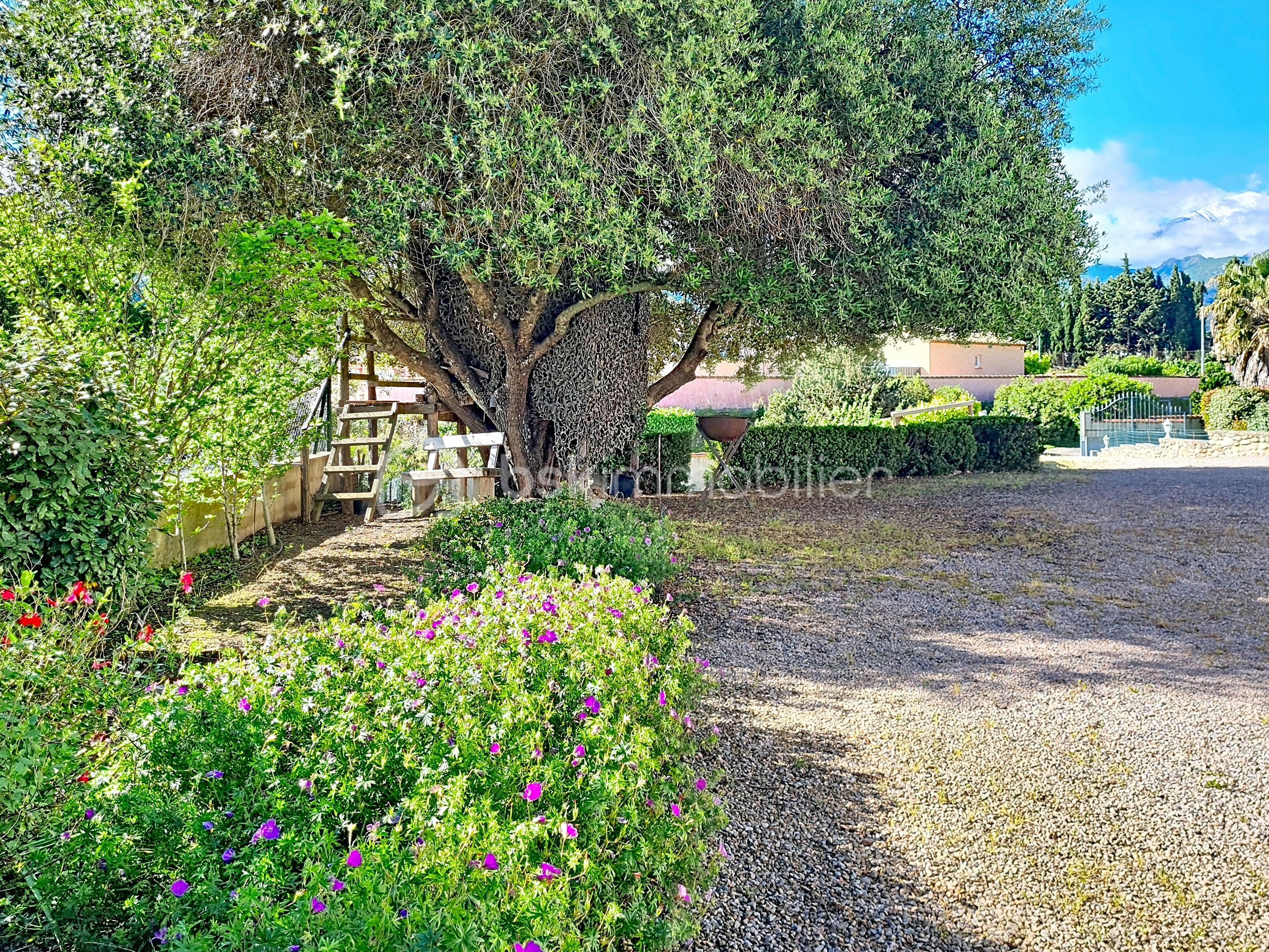 roig_00018.jpg