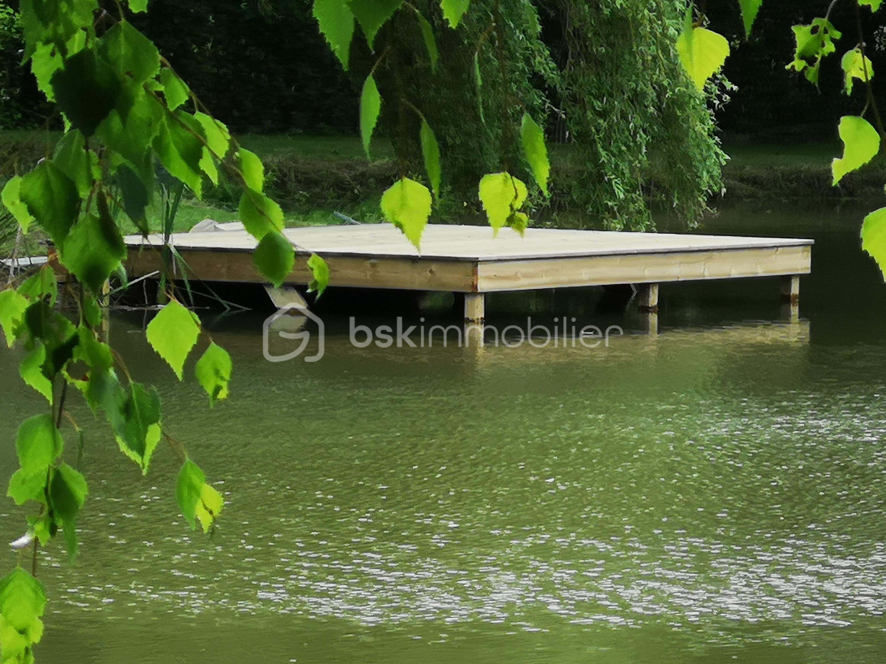 IMG_20190615_164252.jpg