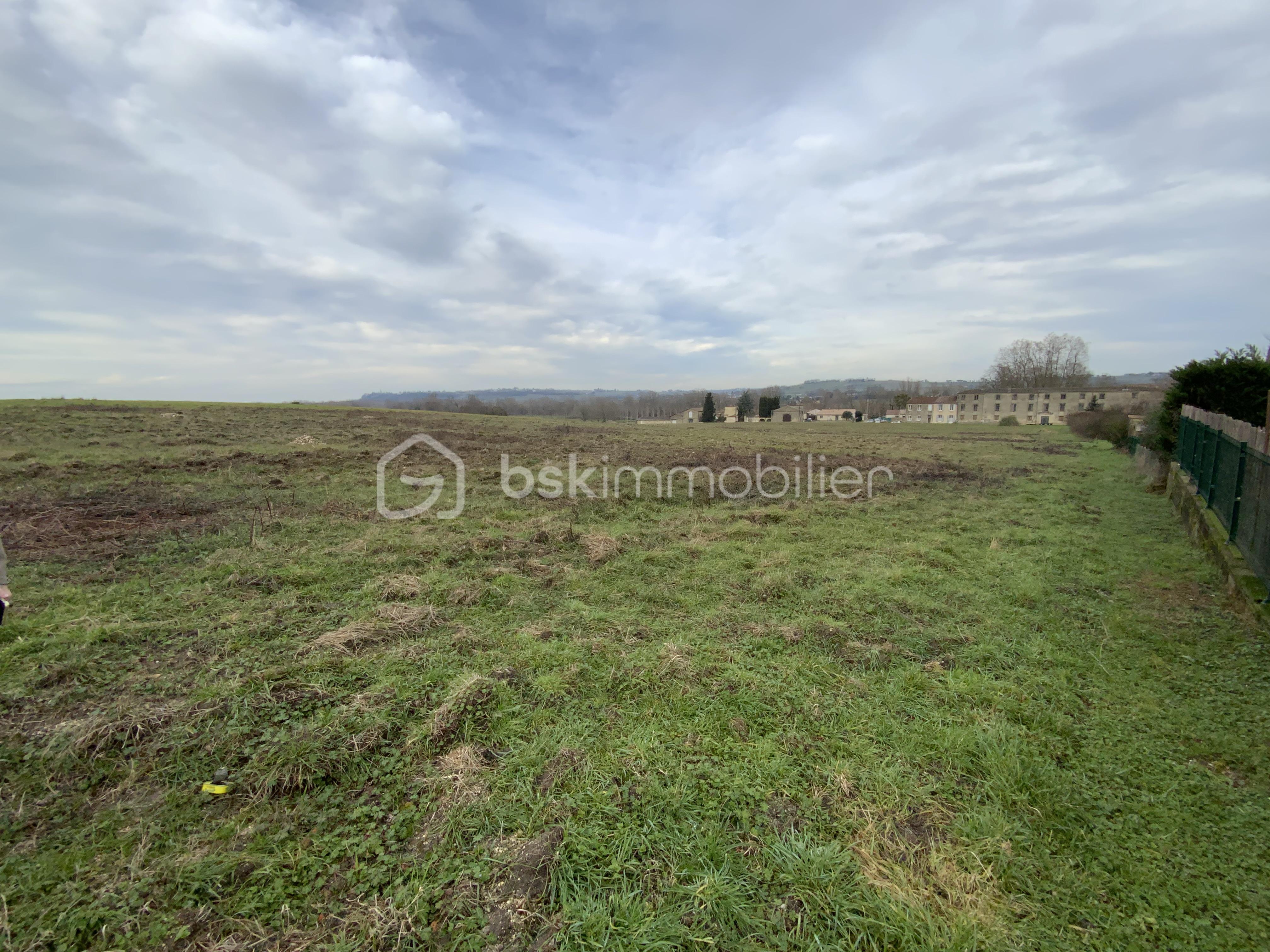 Terrain de 24 173 m² - IMG_3368.jpeg