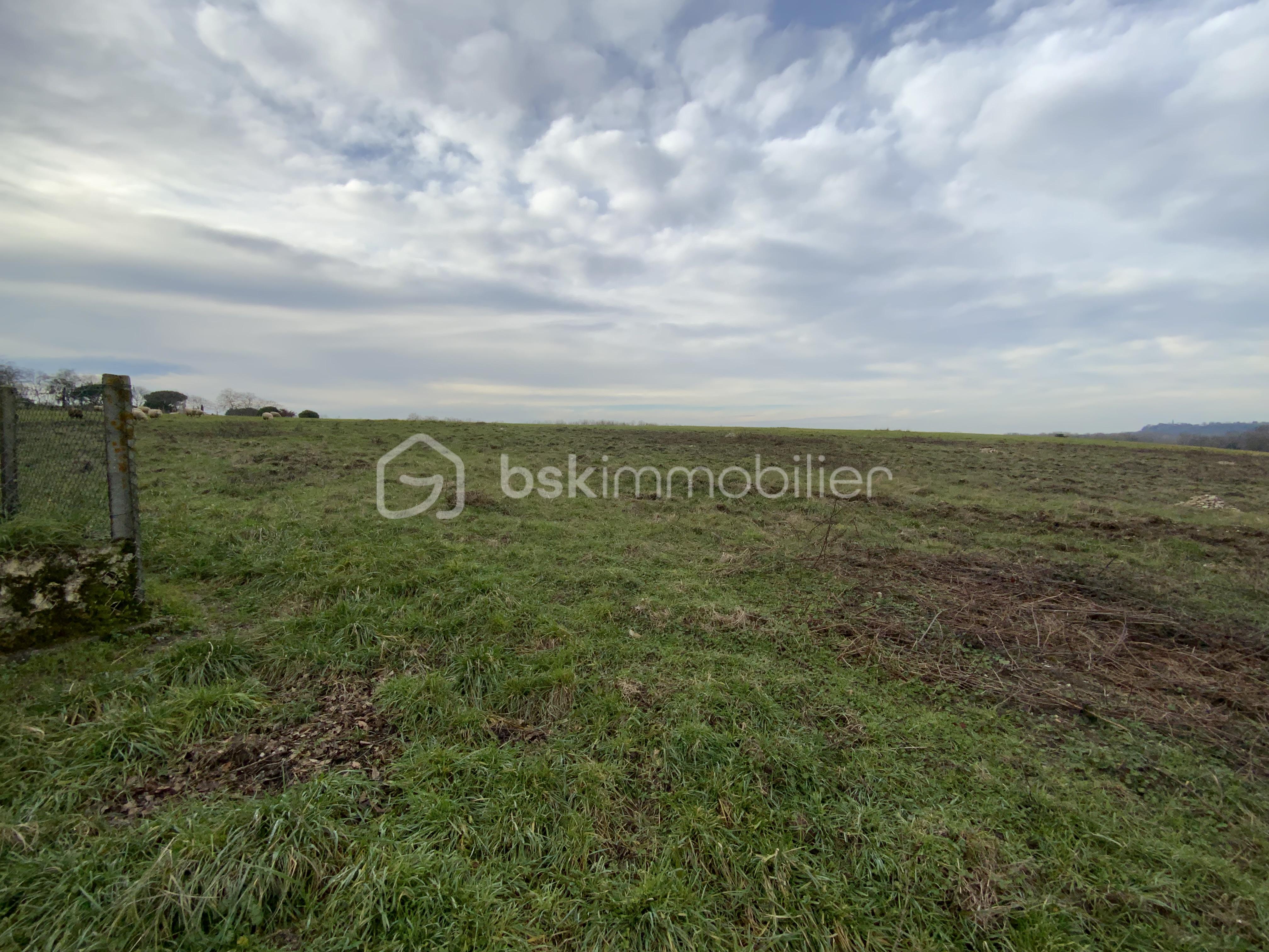 Terrain de 24 173 m² - IMG_3369.jpeg