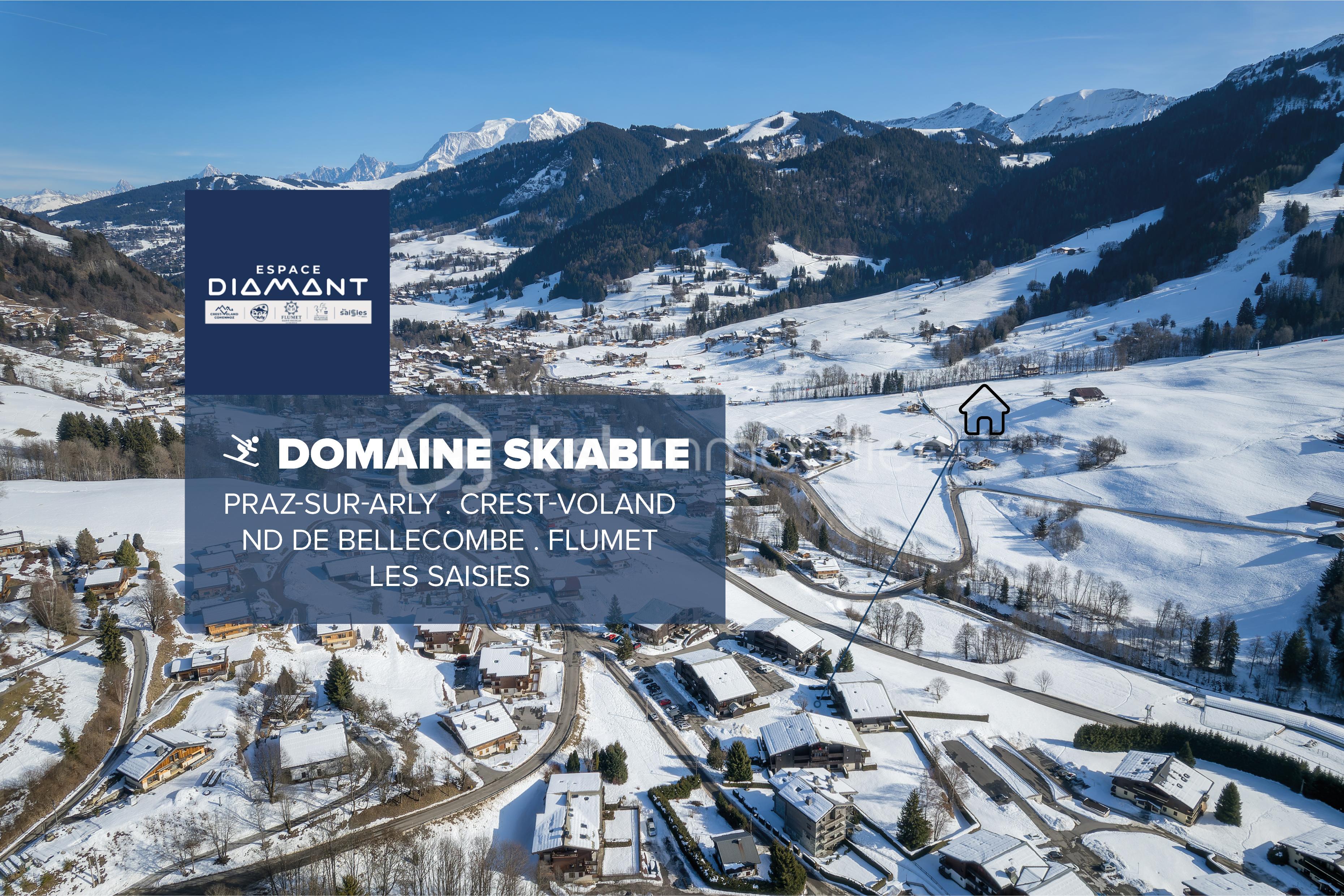 Annonce texte ski ARLY.jpg