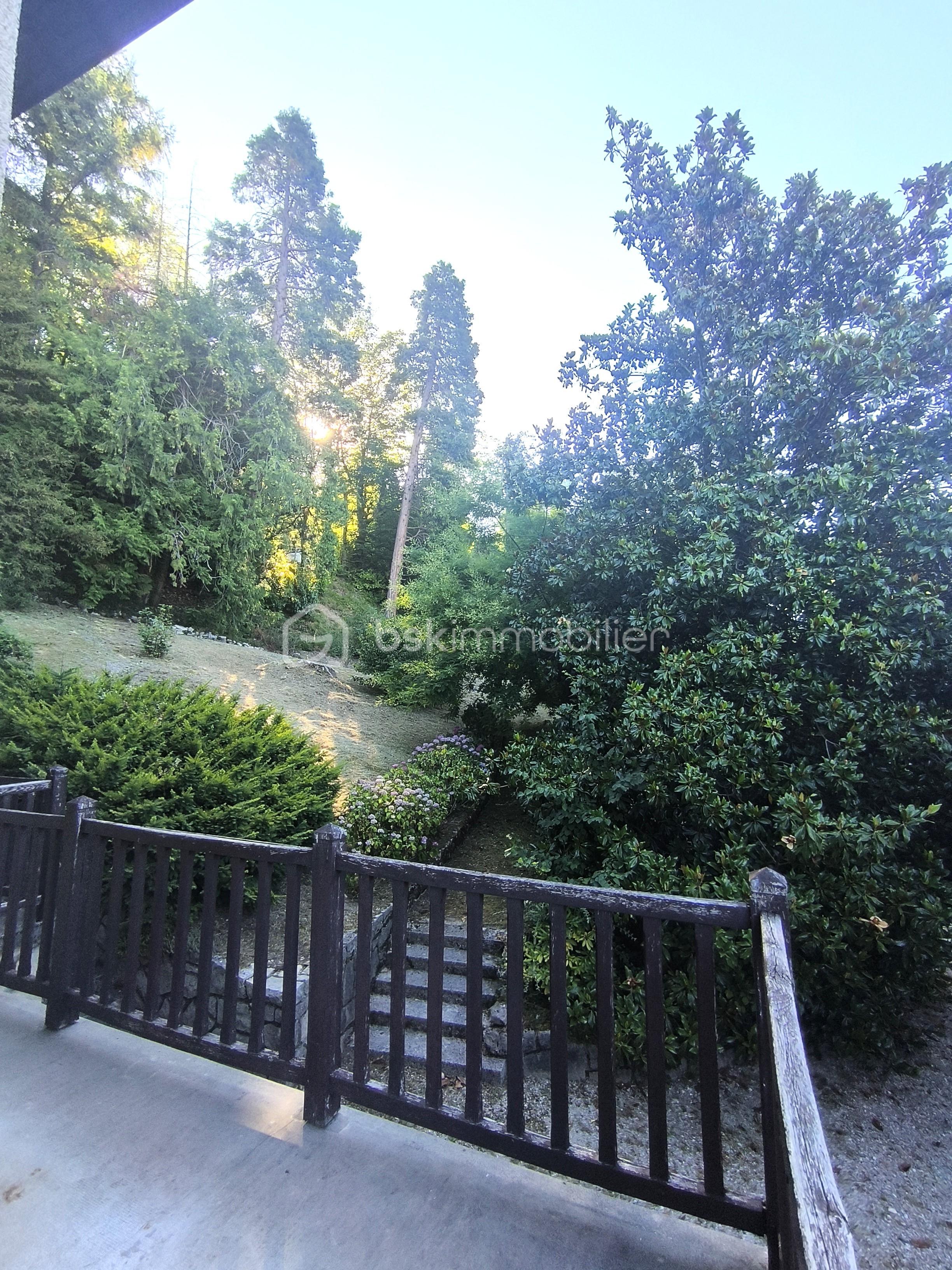 IMG_20260703_083445.jpg