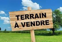 Image terrain a vendre.jpg