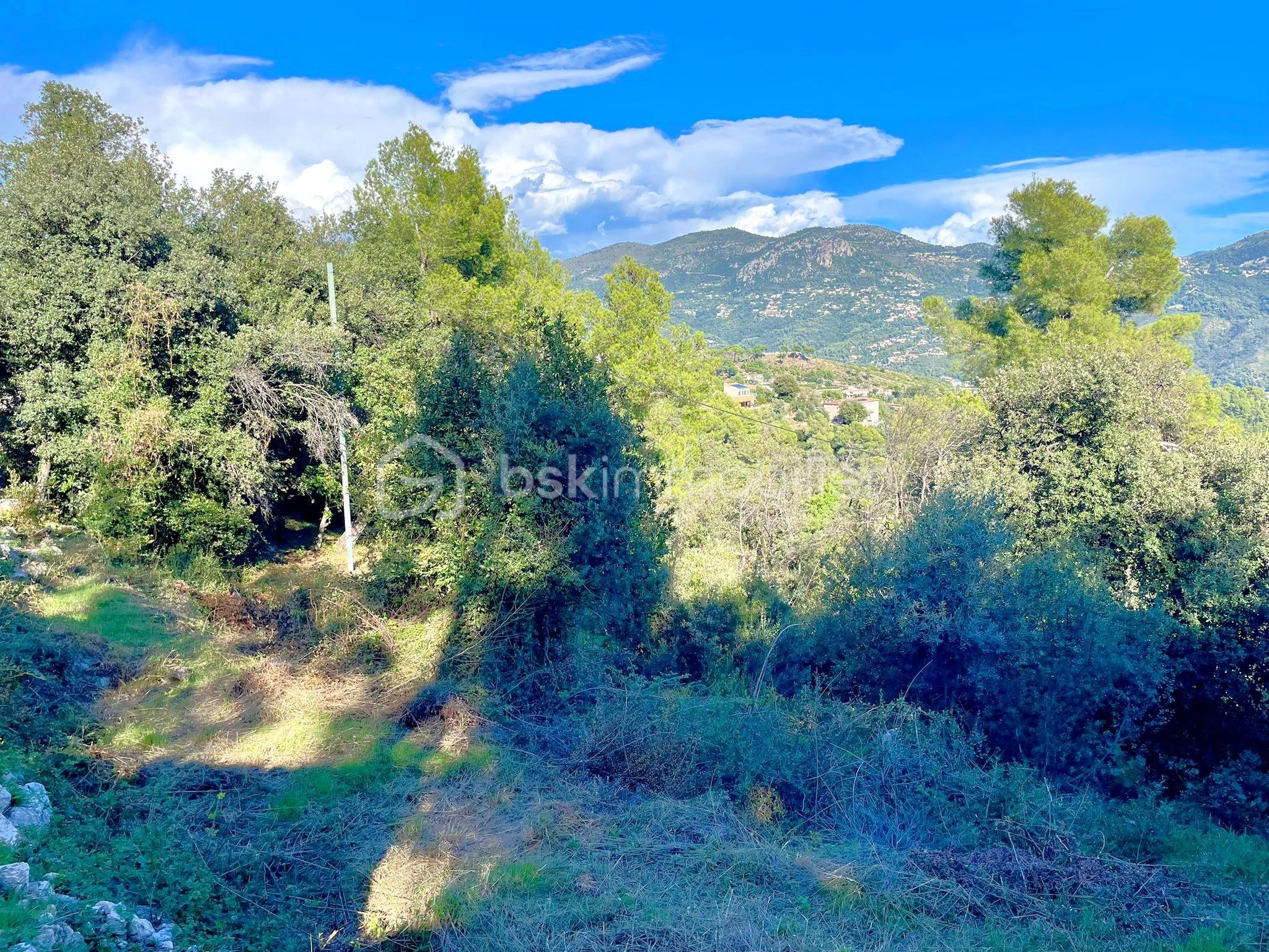 TERRAIN VUE 1 ok.jpg