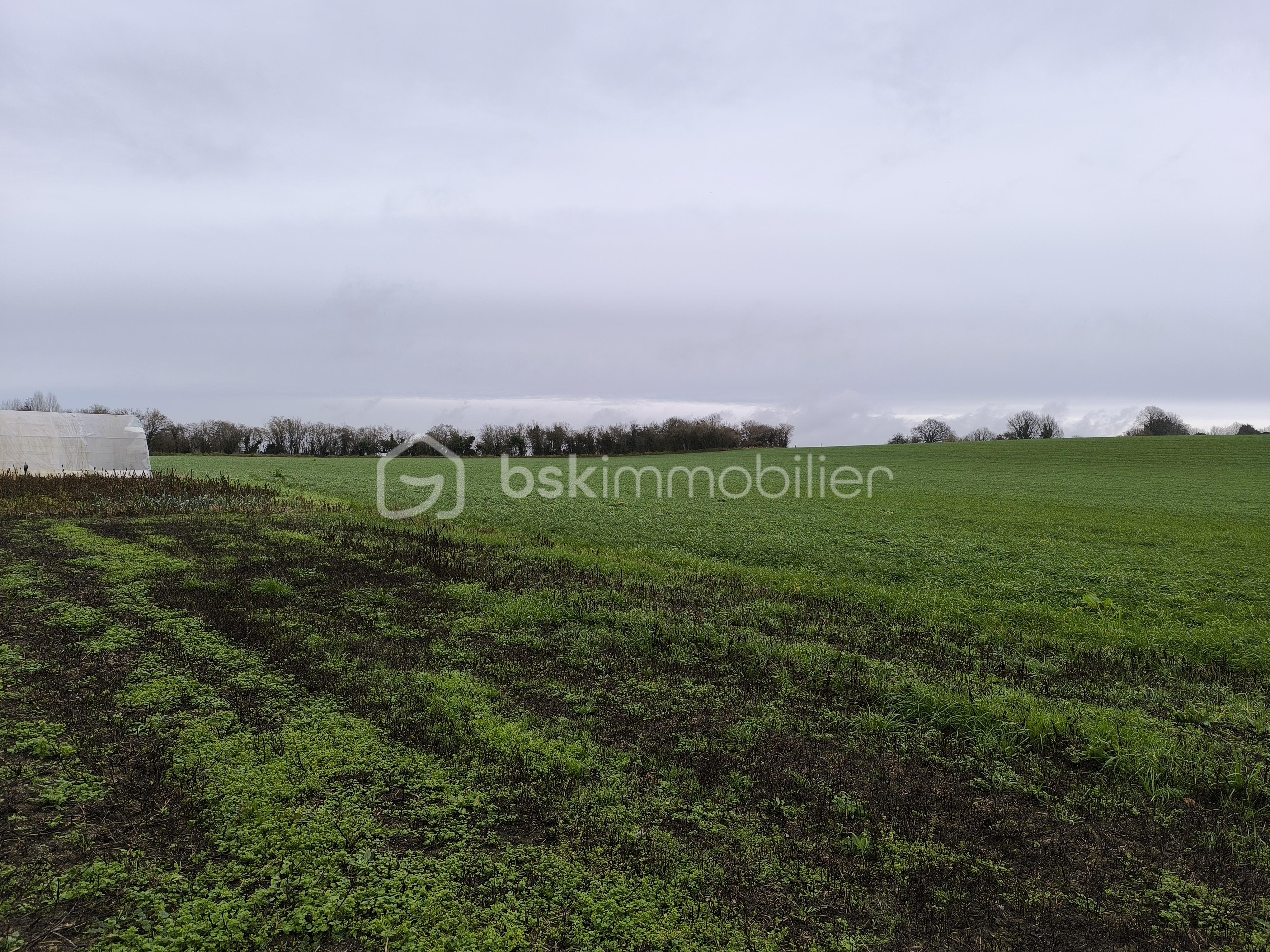 Maison de 137 m² - IMG_20251219_113846.jpg