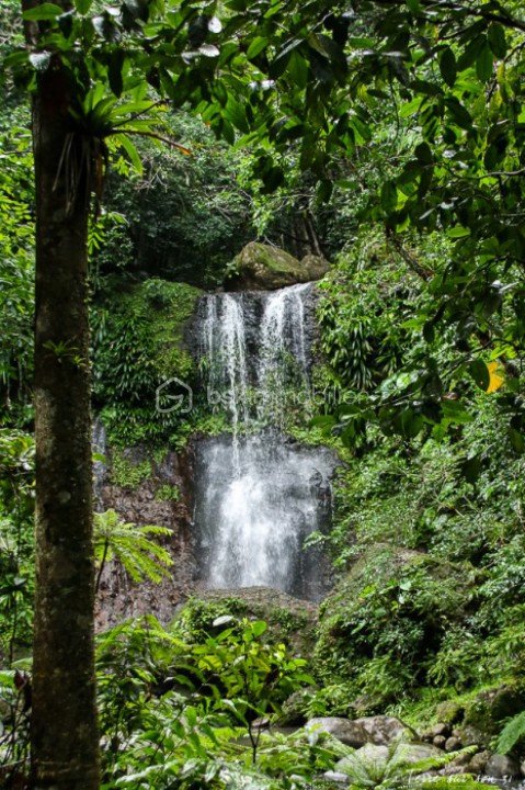 Maison de 193 m² - cascade_saut_3_cornes_guadeloupe