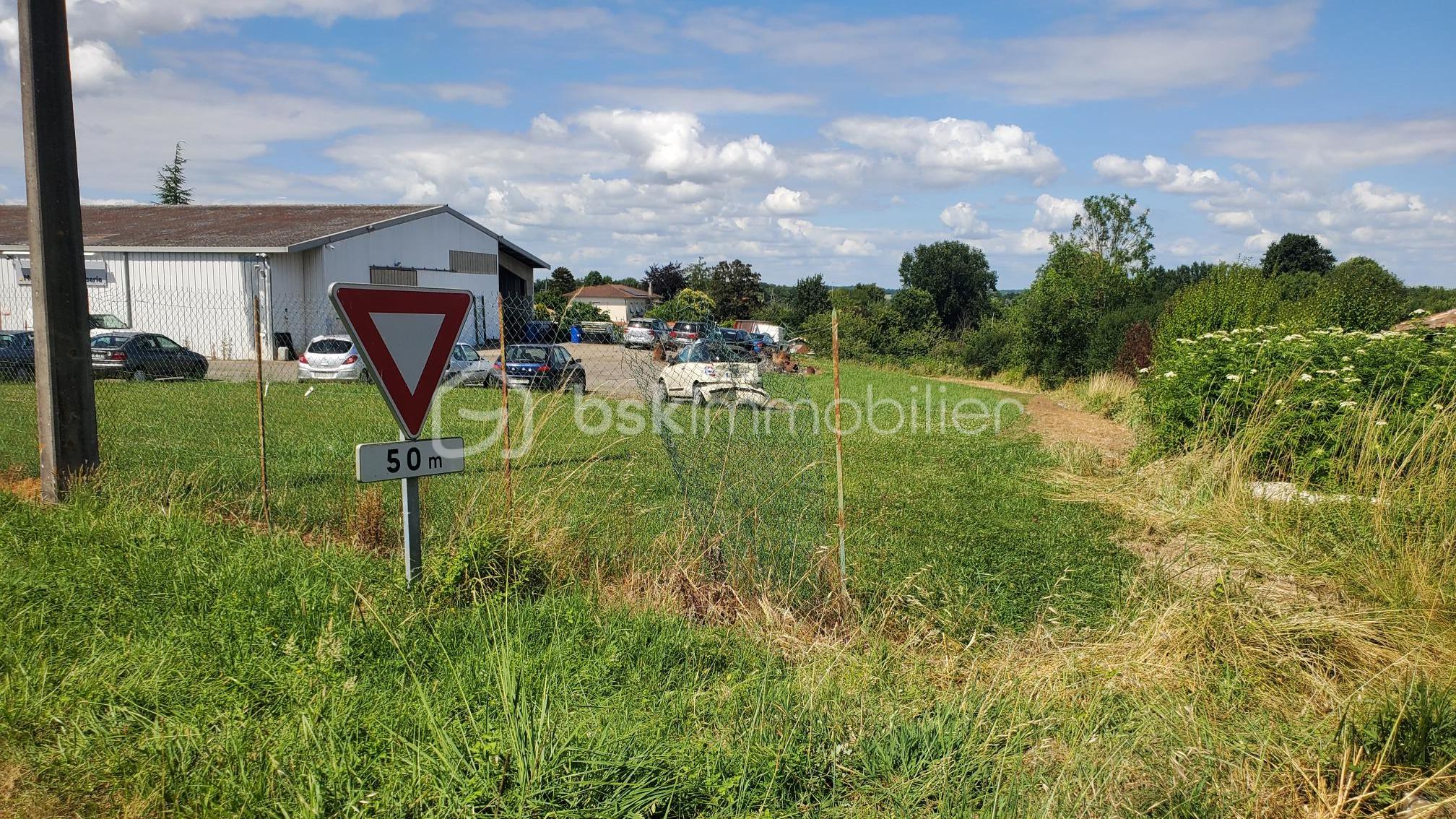 Terrain de 3 560 m² - 20250626_162225.jpg