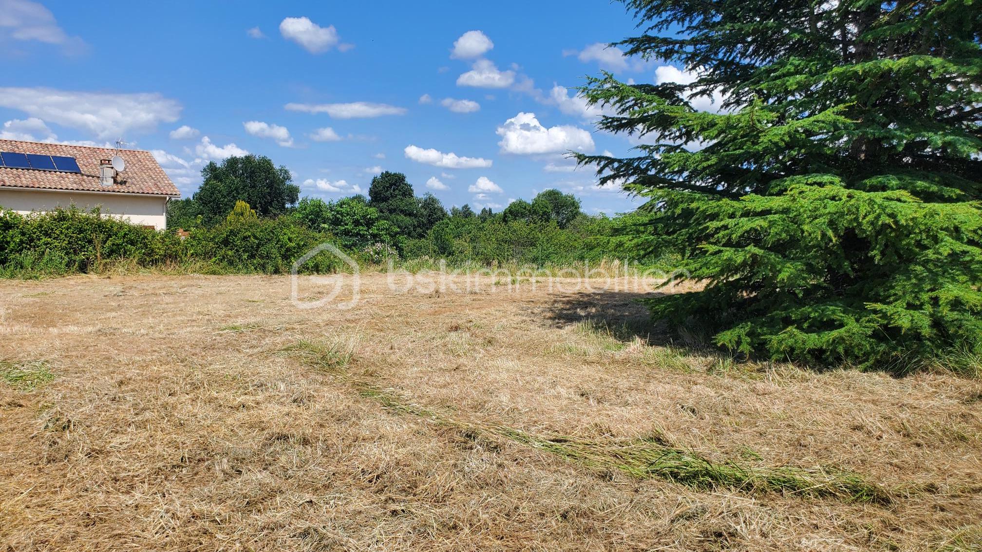 Terrain de 3 560 m² - 20250626_161745.jpg