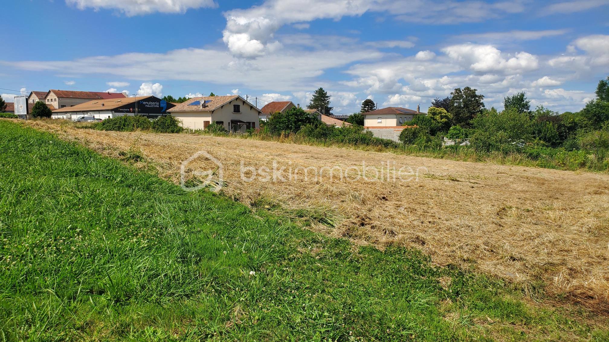 Terrain de 3 560 m² - 20250626_162102.jpg