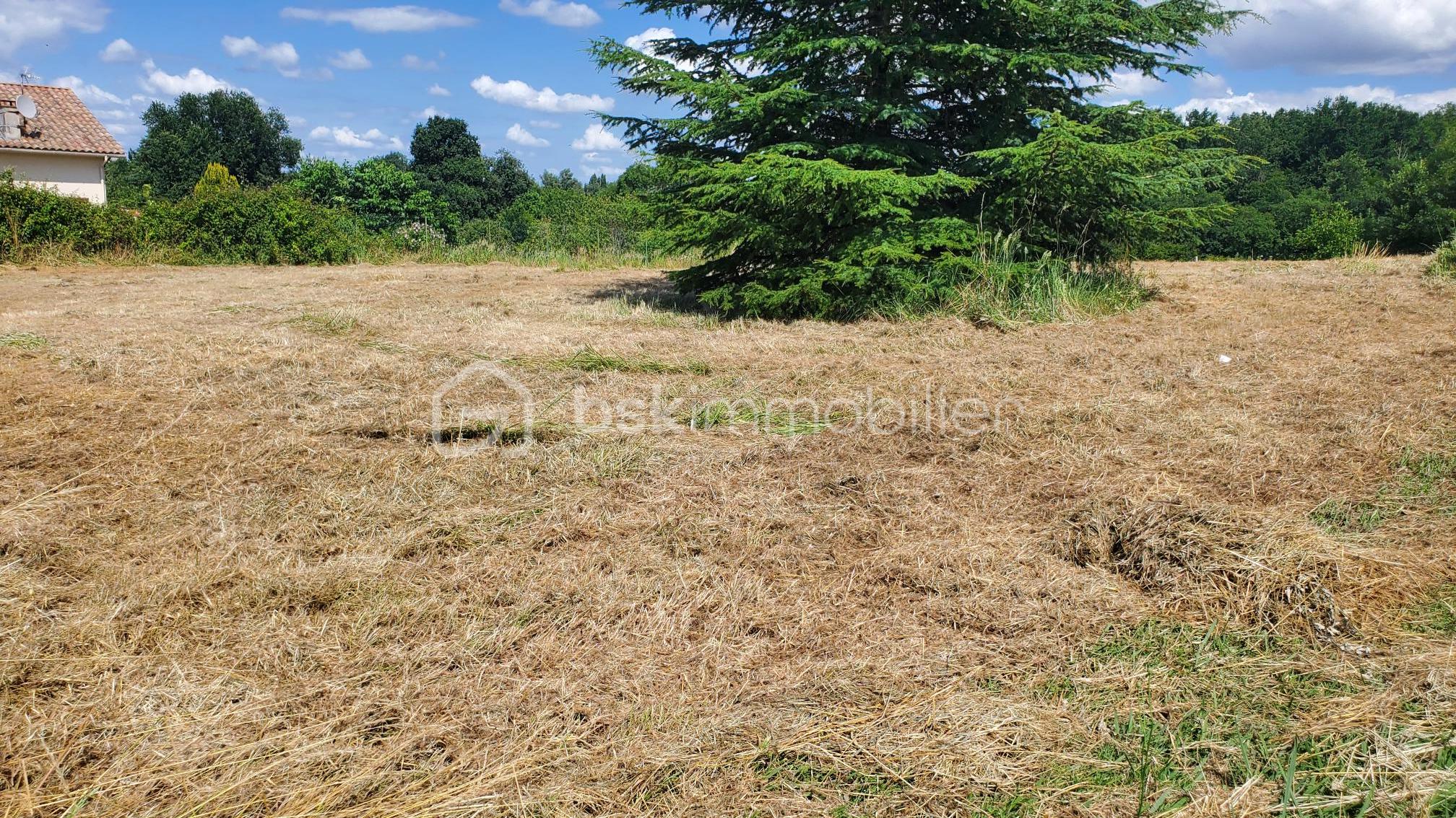 Terrain de 3 560 m² - 20250626_161820.jpg