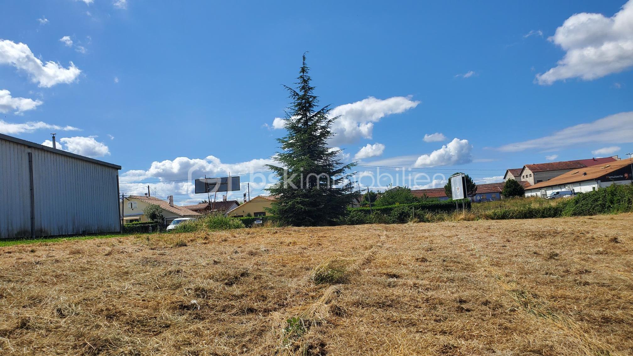Terrain de 3 560 m² - 20250626_162021.jpg