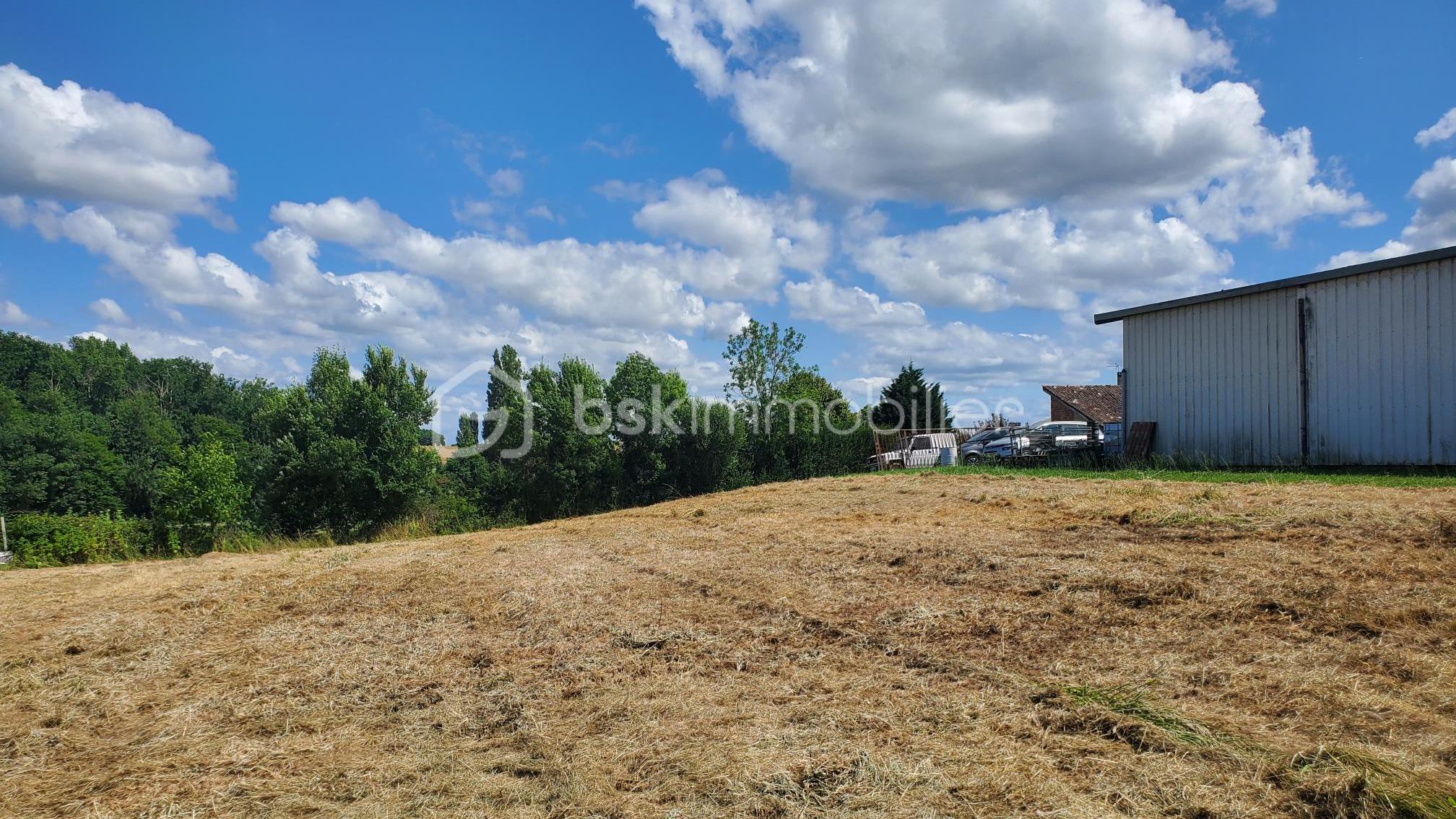 Terrain de 3 560 m² - 20250626_161929.jpg