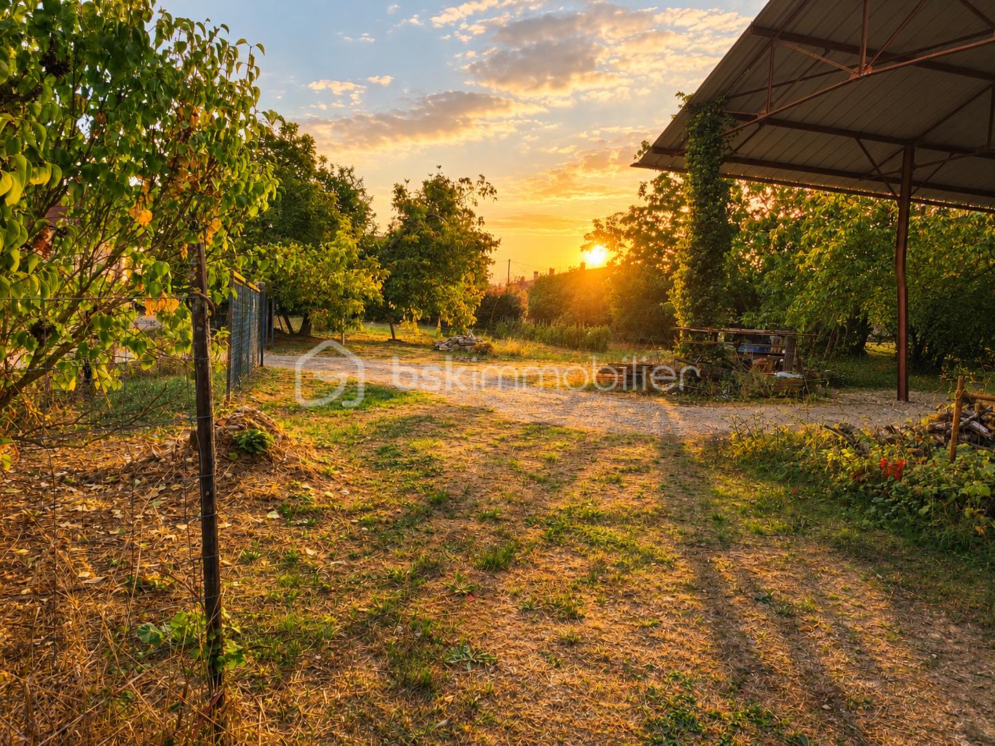 Coucher de soleil sur jardin rural.png