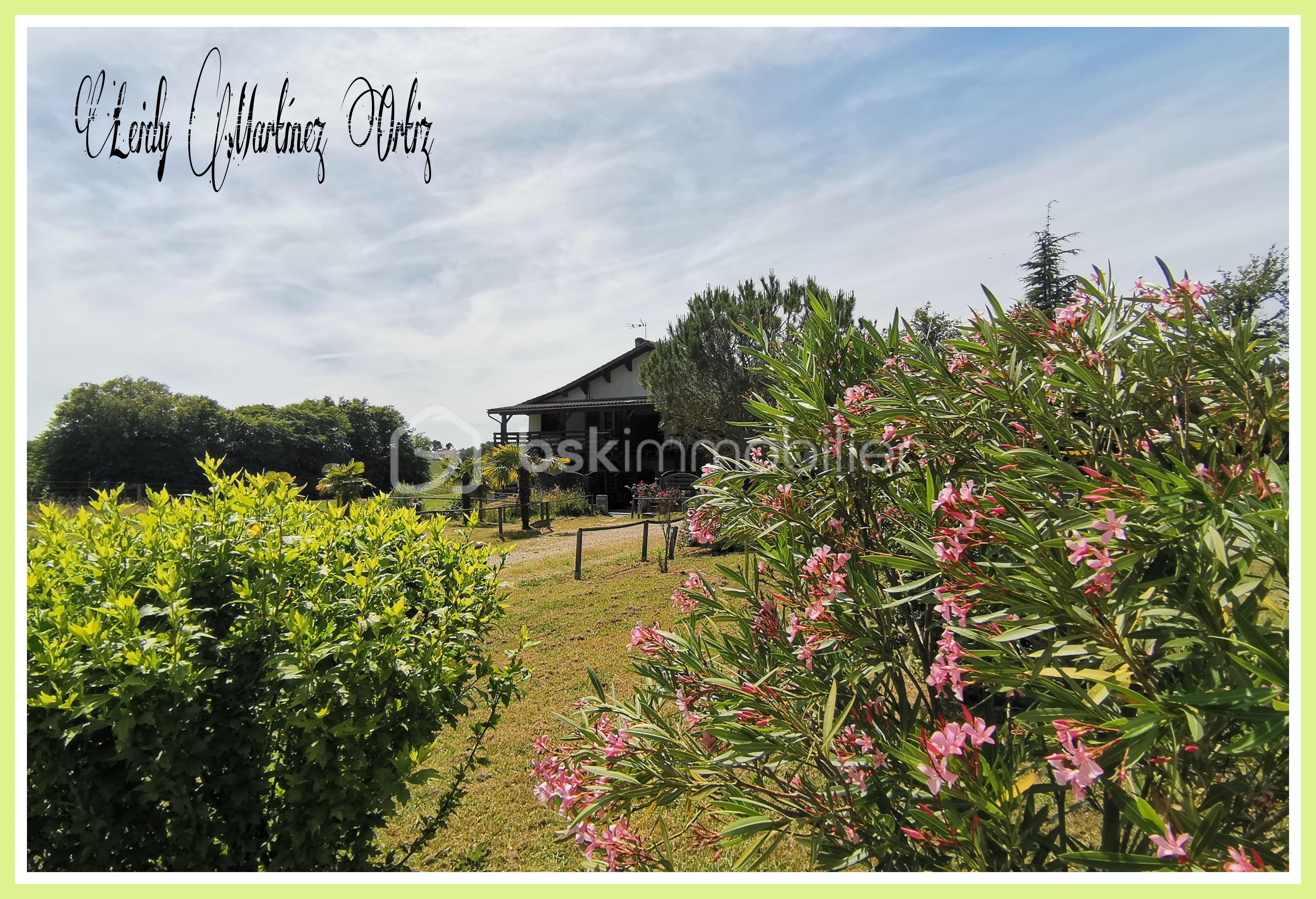 Immeuble mixte de 300 m² - Picsart_24-12-31_12-47-38-235.jpg