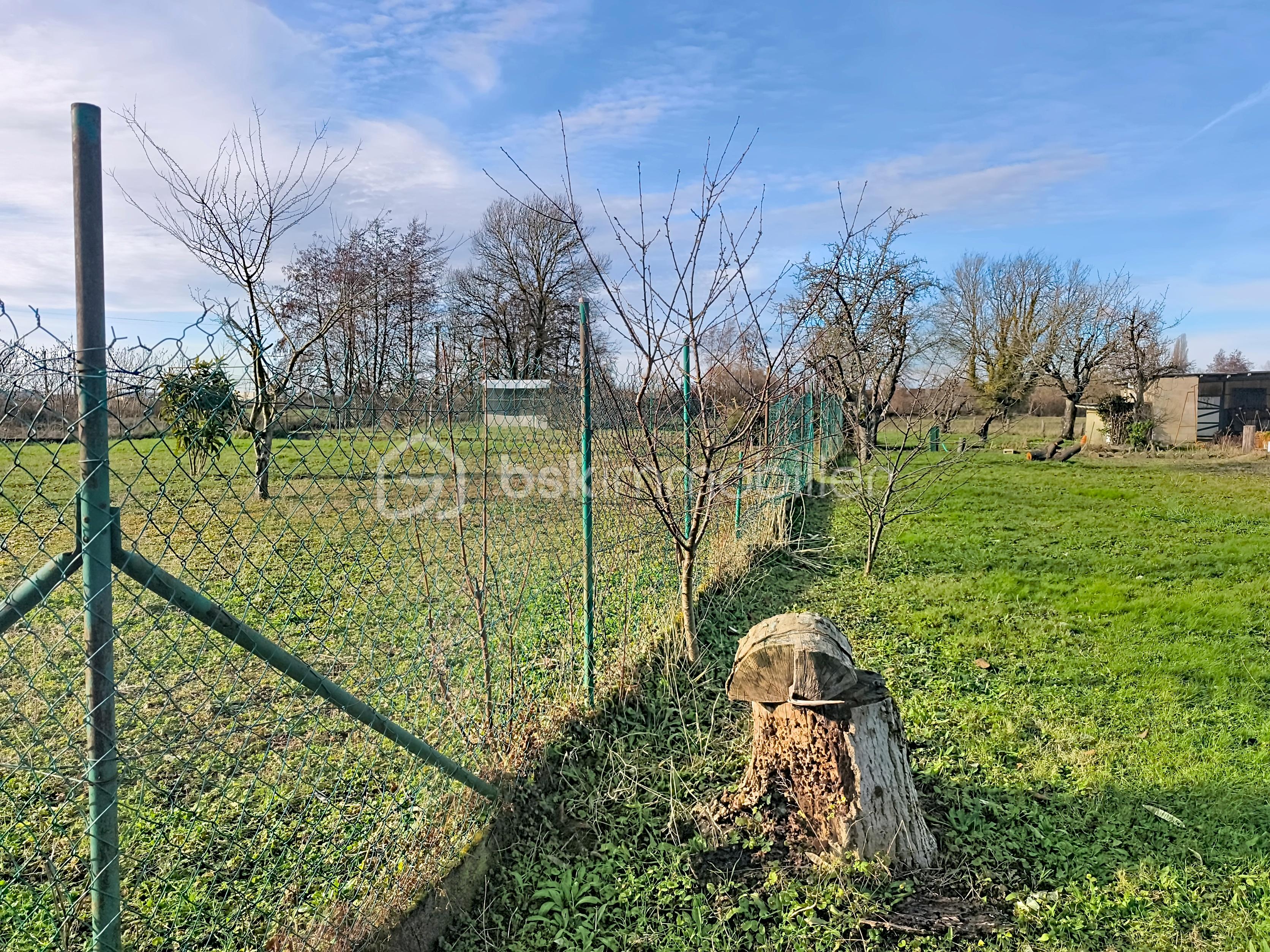 Maison de 114 m² - m-baudement_00012.jpg