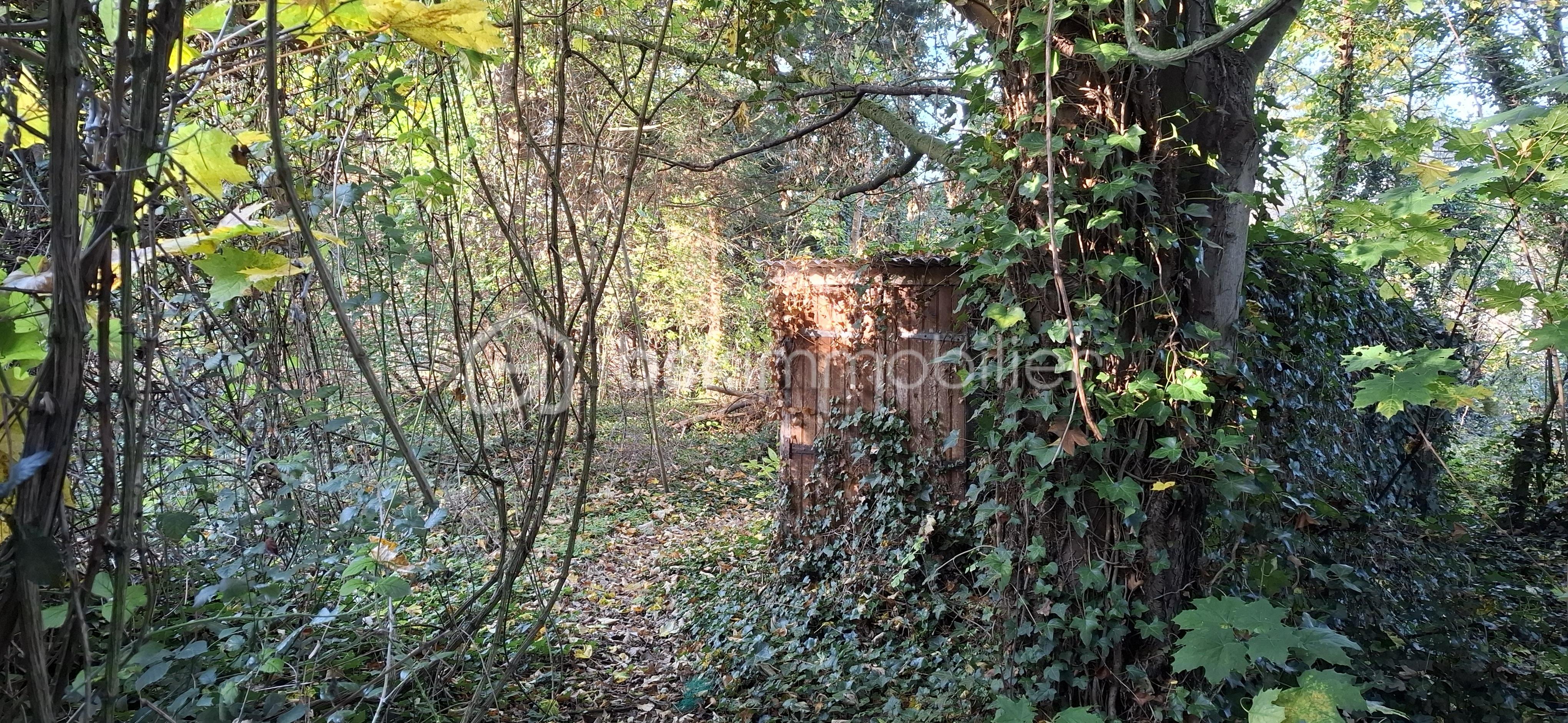 Maison traditionnelle de 209 m² - Bois 2.jpg