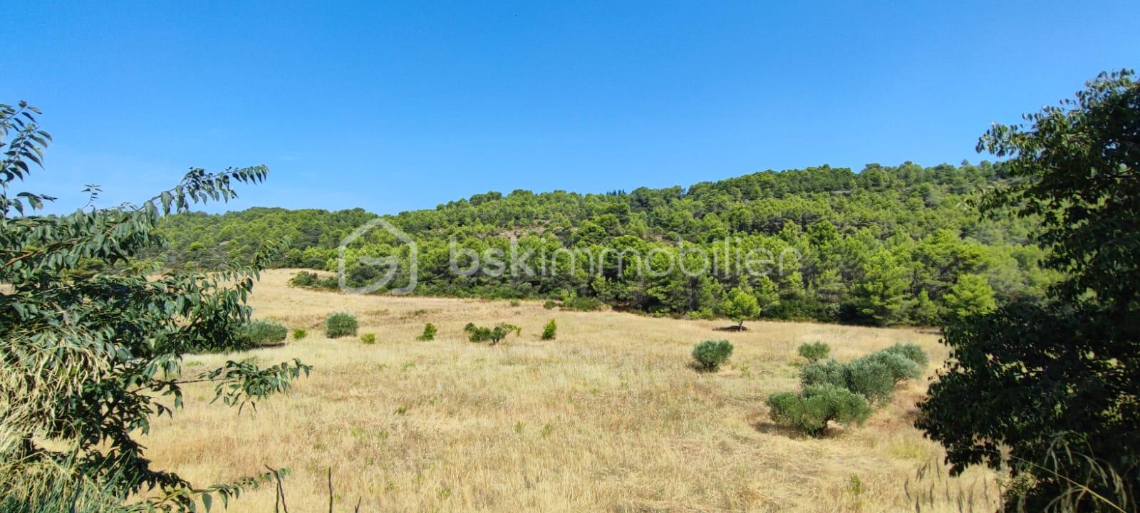 Maison de 175 m² - WhatsApp Image 2025-08-15 at 08.59.51 (3).jpeg