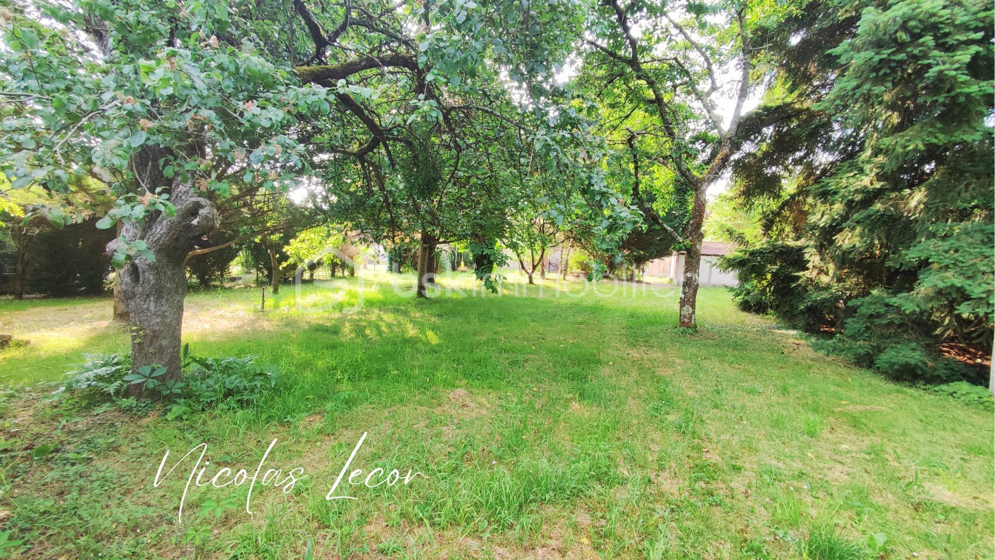 Nicolas Lecor (24).png