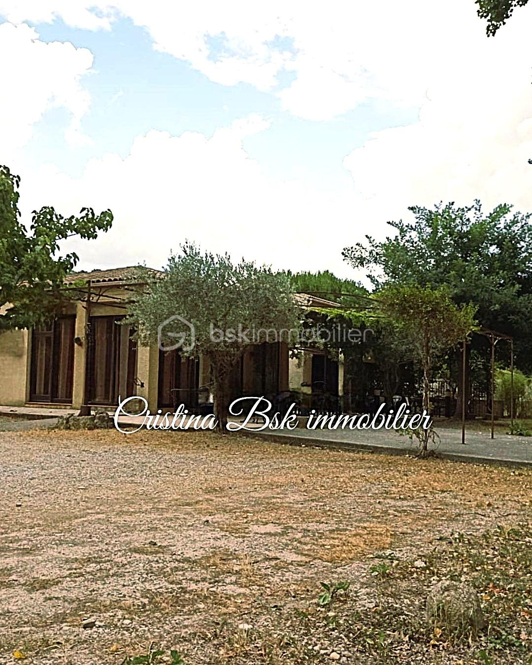 Local commercial de 270 m² - batiment exterieur vue.jpg