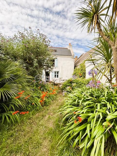 Maison ancienne de 46 m² - IMG_9536 copie.jpg