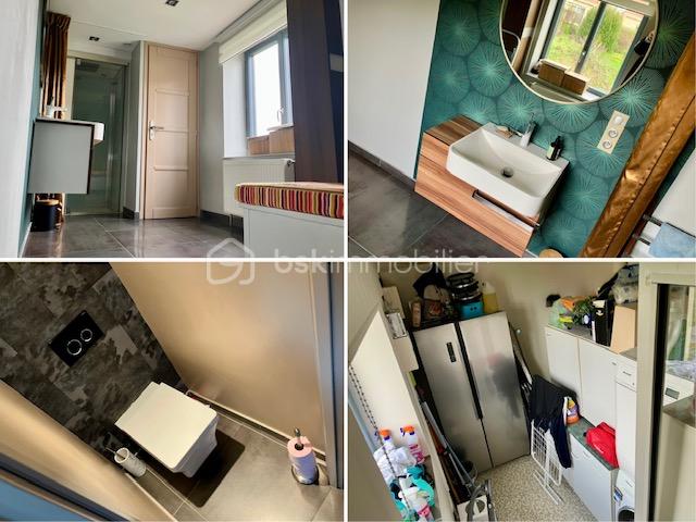 steene amalgame salle d'eau et wc.jpg