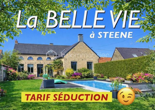 steene tarif séduction.jpeg