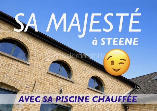 steene sa majesté.jpeg