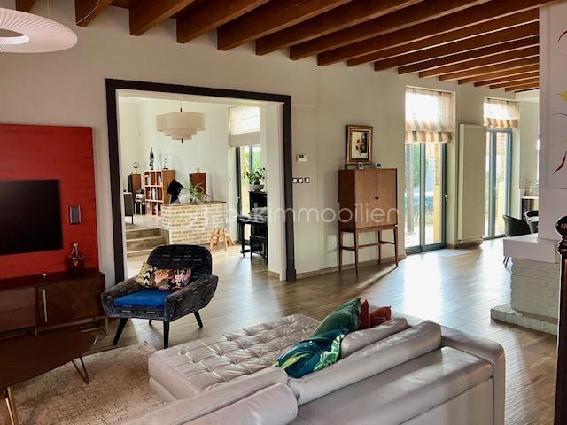 steene salon vers entrée et cuisine.jpeg