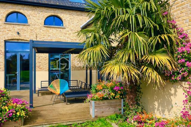 steene terrasse et palmier.jpg