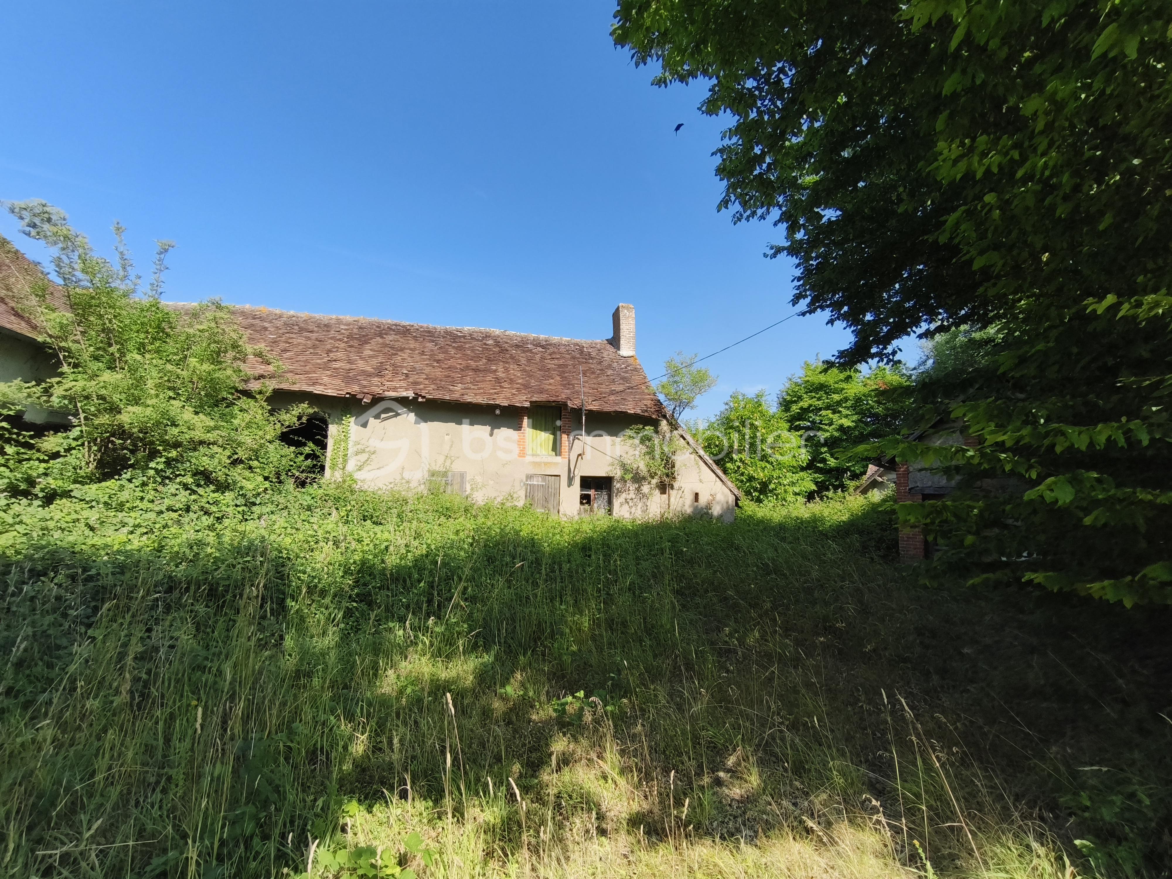 Fermette de 20 m² - 1750525389033.jpg