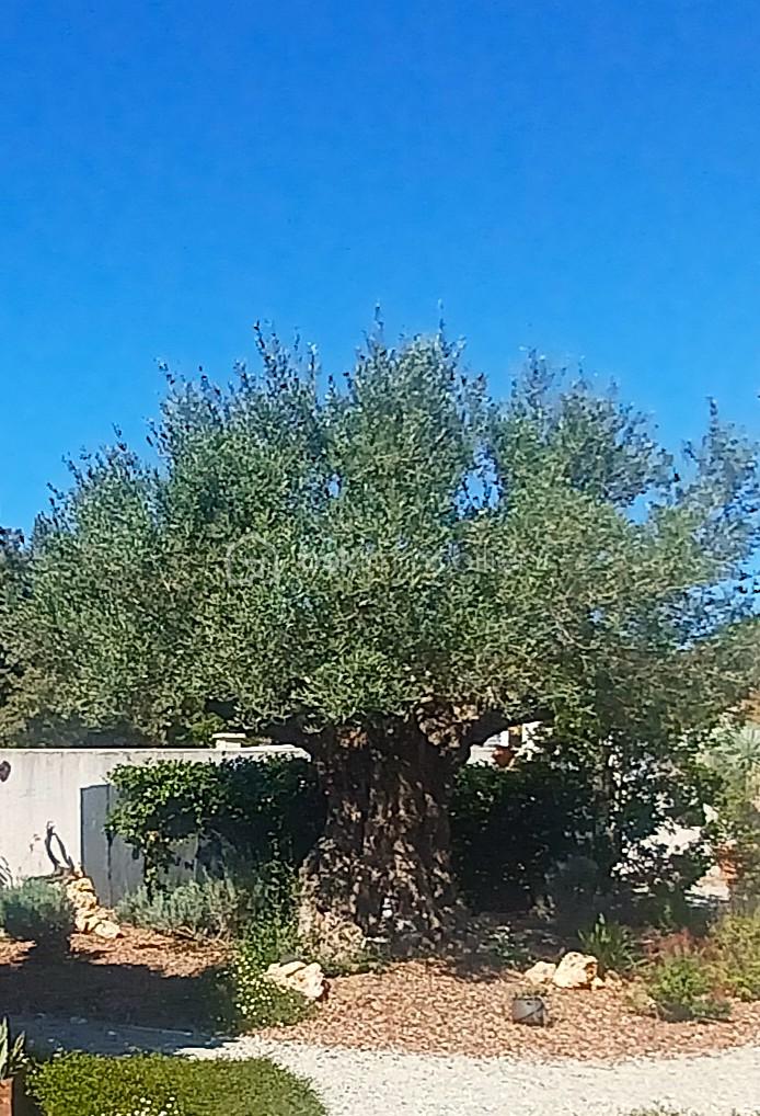 20260920_144312.jpg