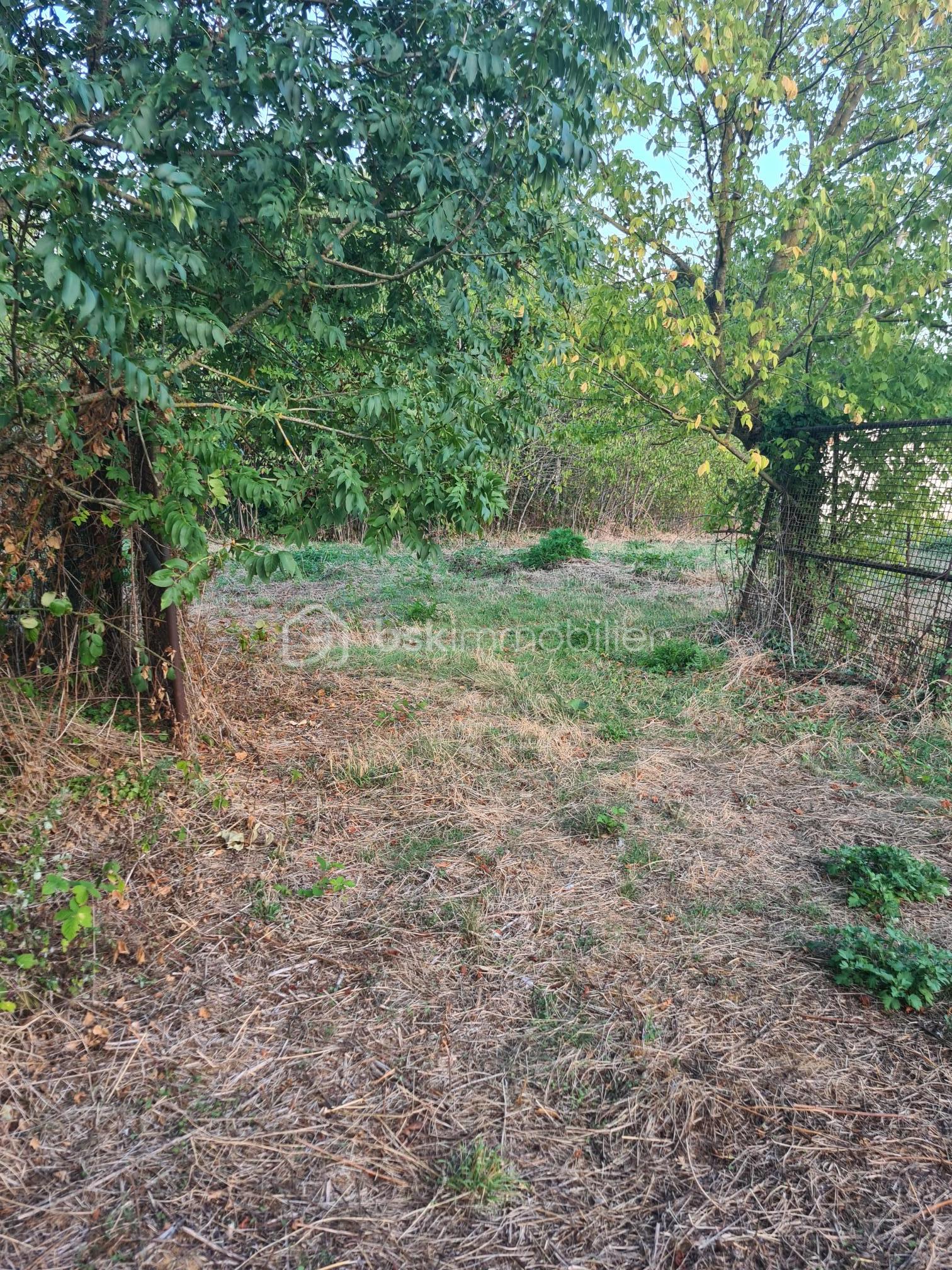 20260915_194056.jpg