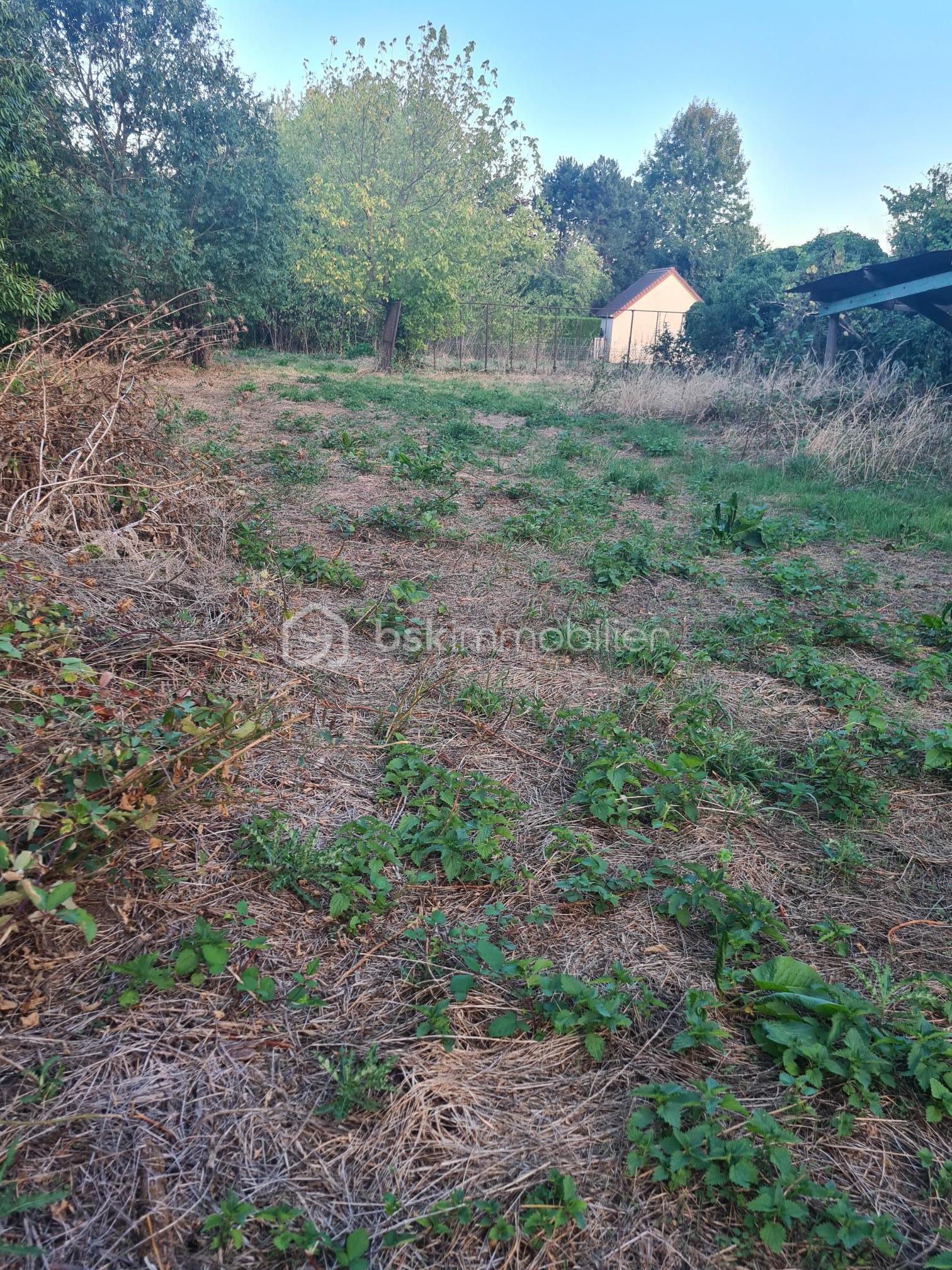 20260915_194035.jpg