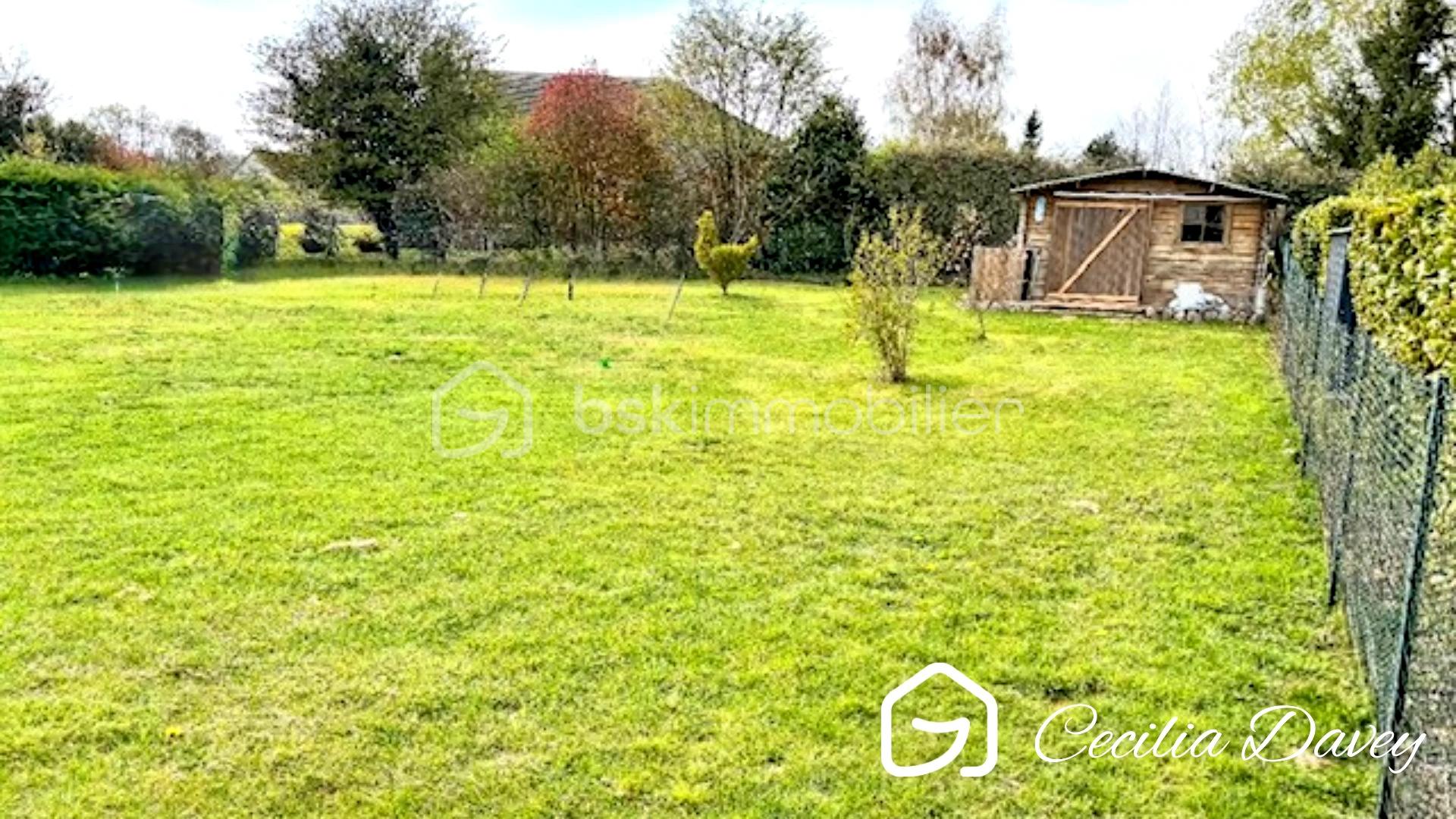 liloo-downloaderff3JjT