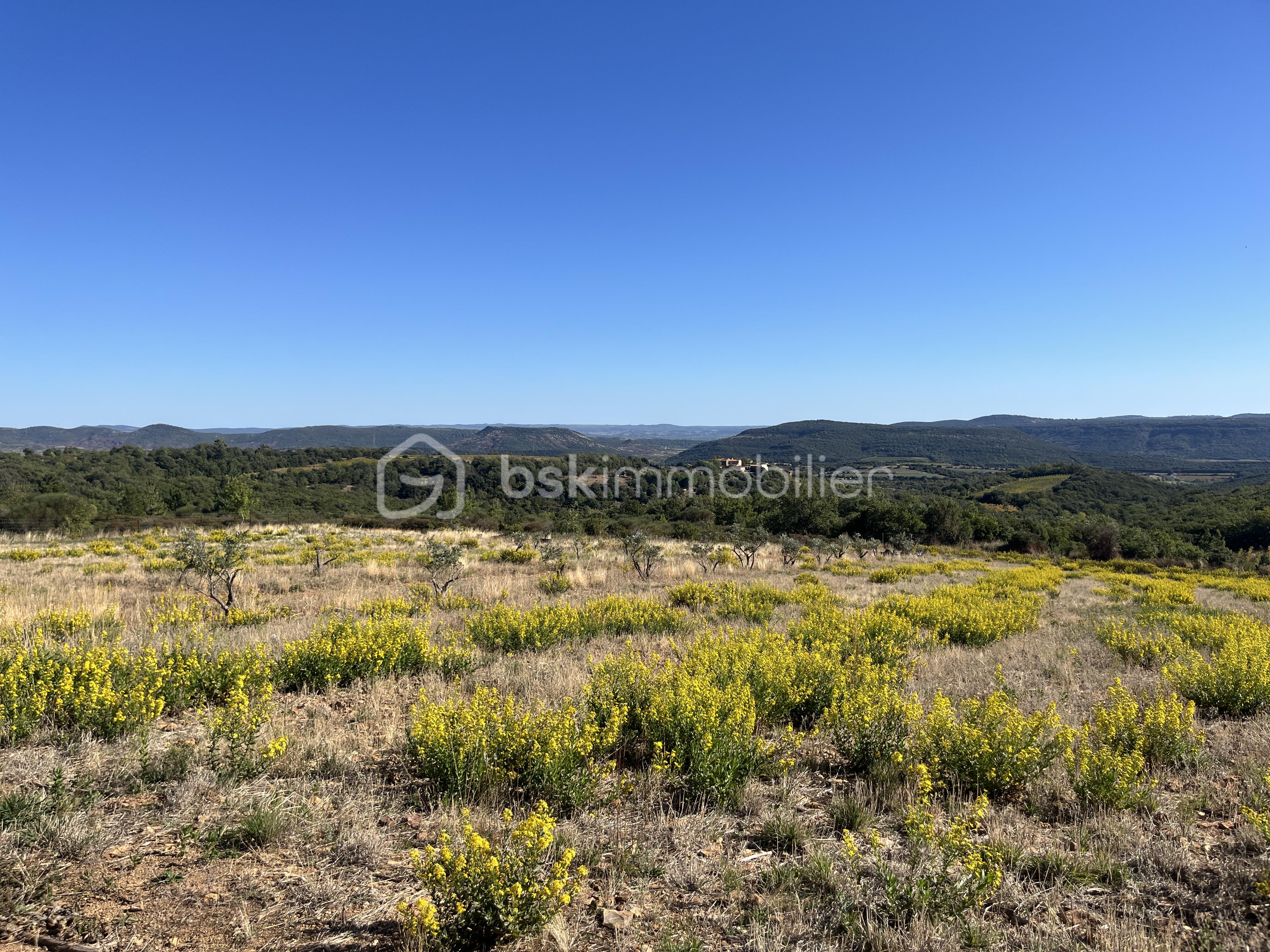 Terrain agricole de 94 430 m² - IMG_6193.JPG