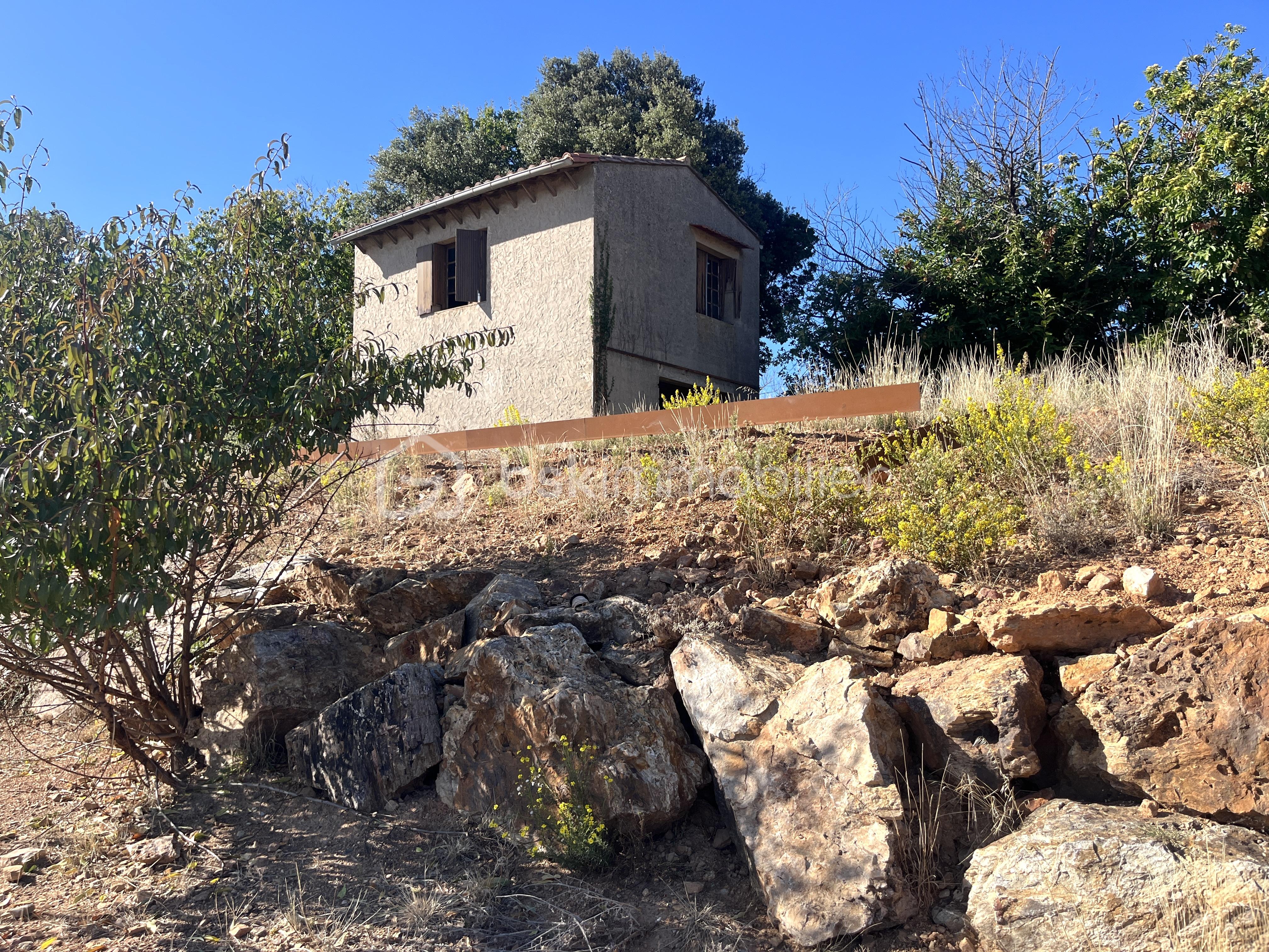 Terrain agricole de 94 430 m² - IMG_6209.JPG