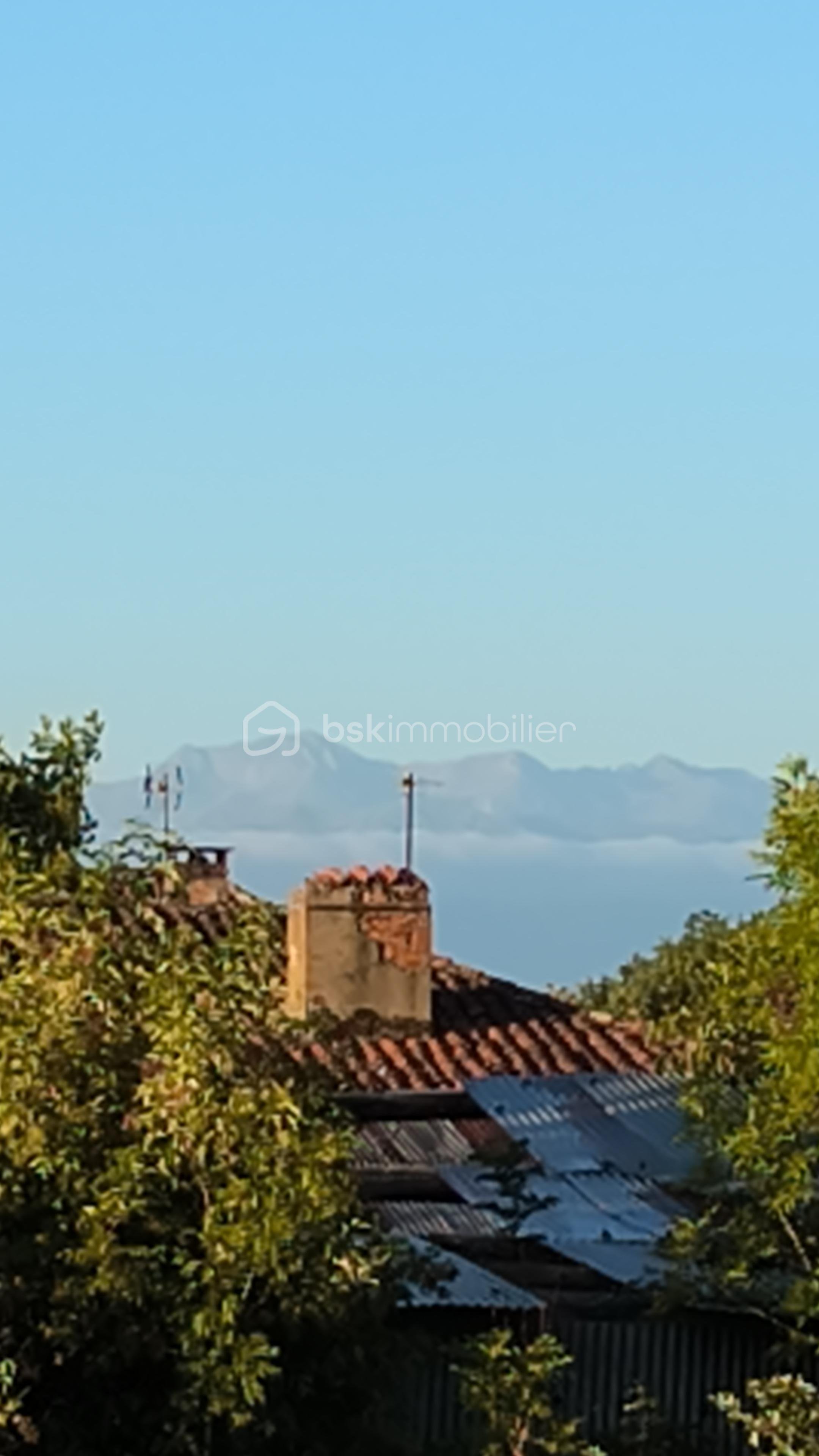 Terrain de 5 300 m² - IMG_20250722_07233799.jpg