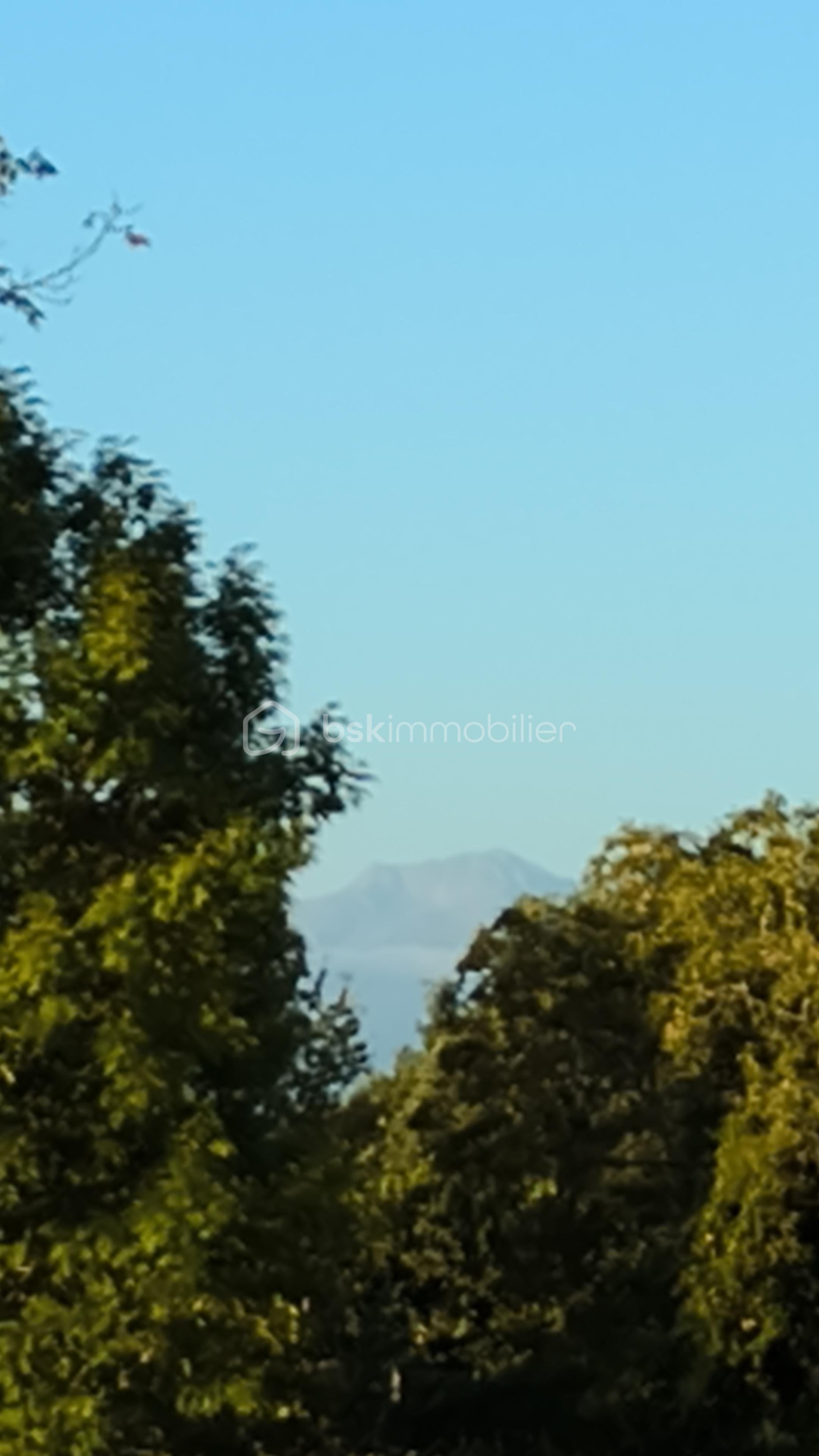 Terrain de 5 300 m² - IMG_20250722_07230925.jpg