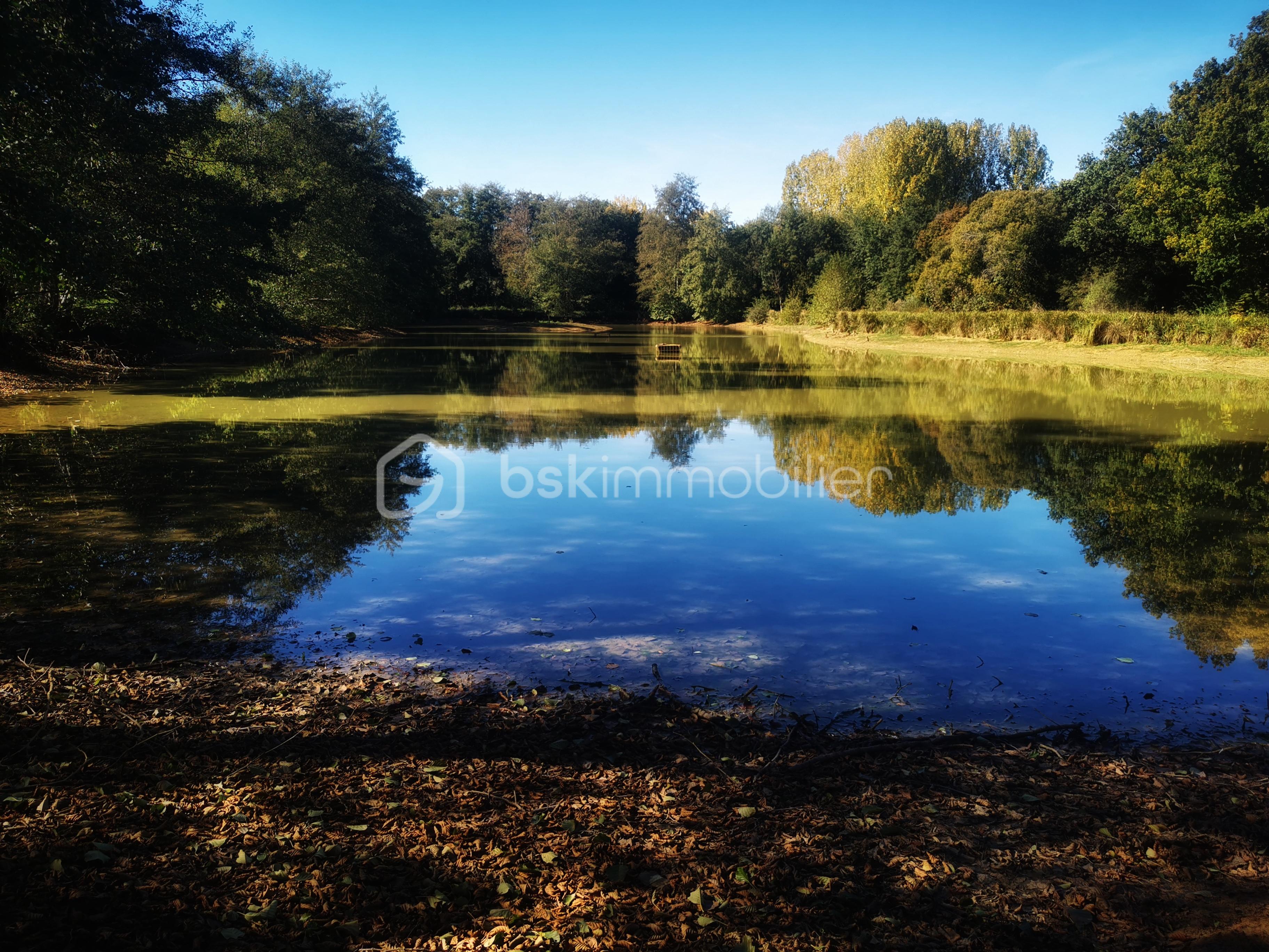 Terrain de loisirs de 26 062 m² - IMG_20251007_143227-01.jpeg