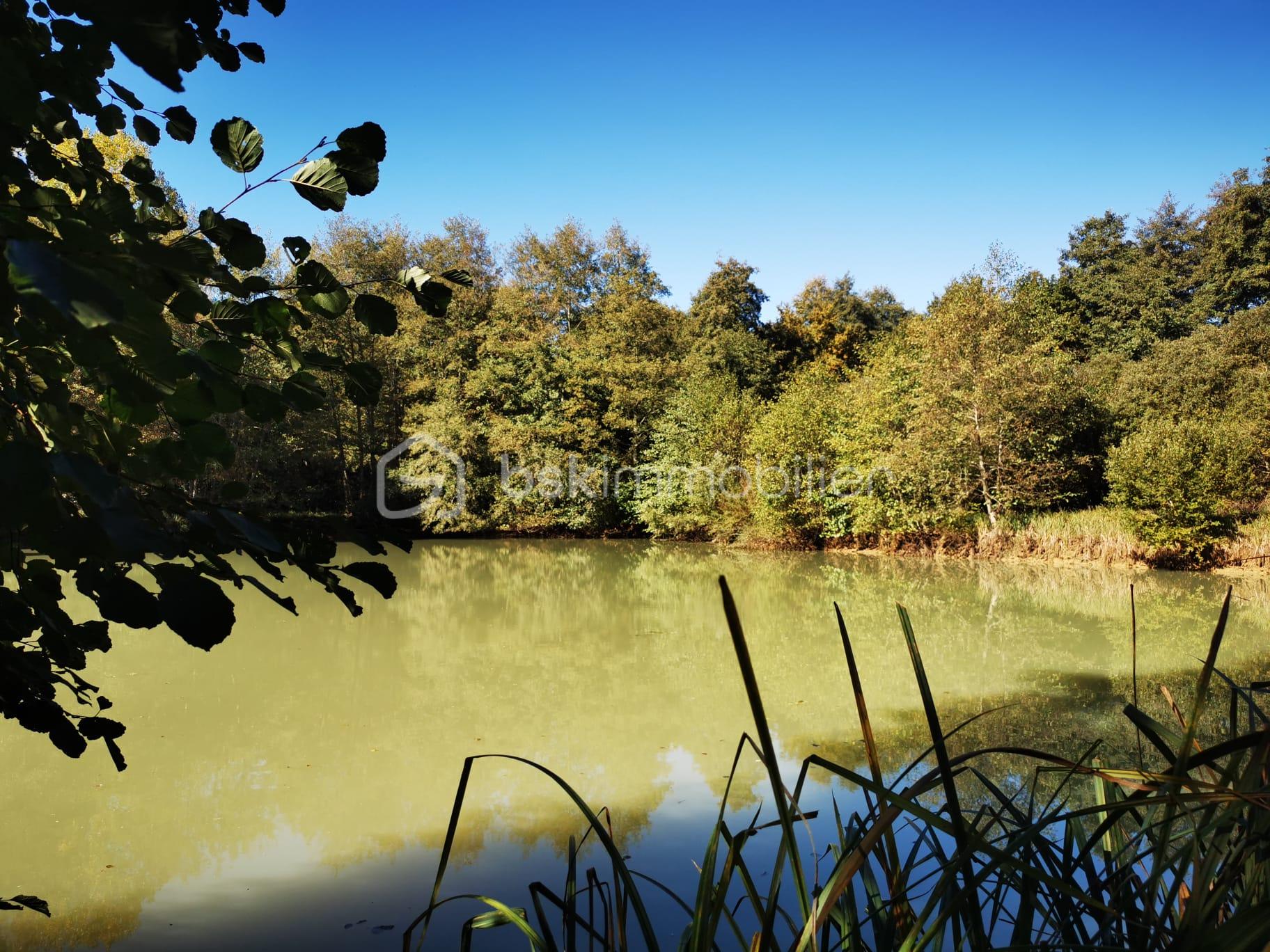 Terrain de loisirs de 26 062 m² - IMG-20251008-WA0018.jpg
