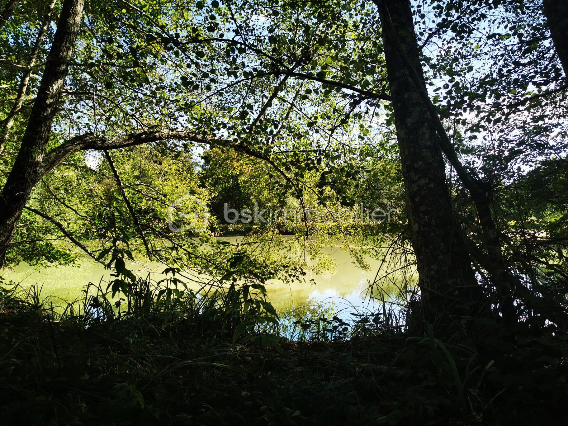 Terrain de loisirs de 26 062 m² - IMG-20251008-WA0014.jpg