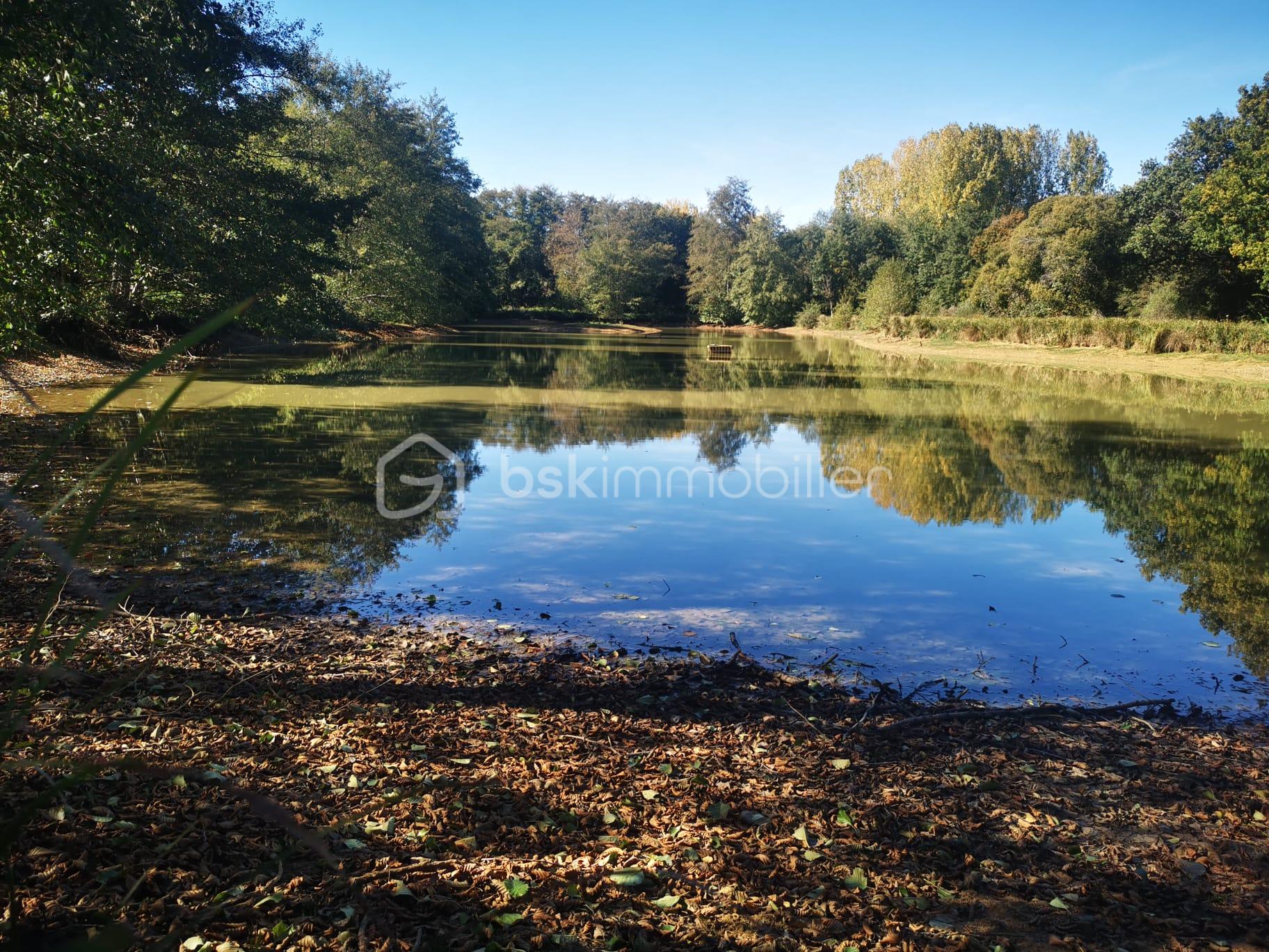Terrain de loisirs de 26 062 m² - IMG-20251008-WA0003.jpg