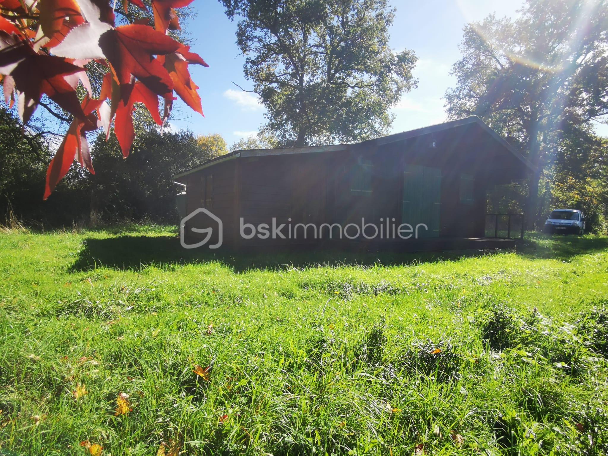 Terrain de loisirs de 26 062 m² - IMG-20251007-WA0007.jpg