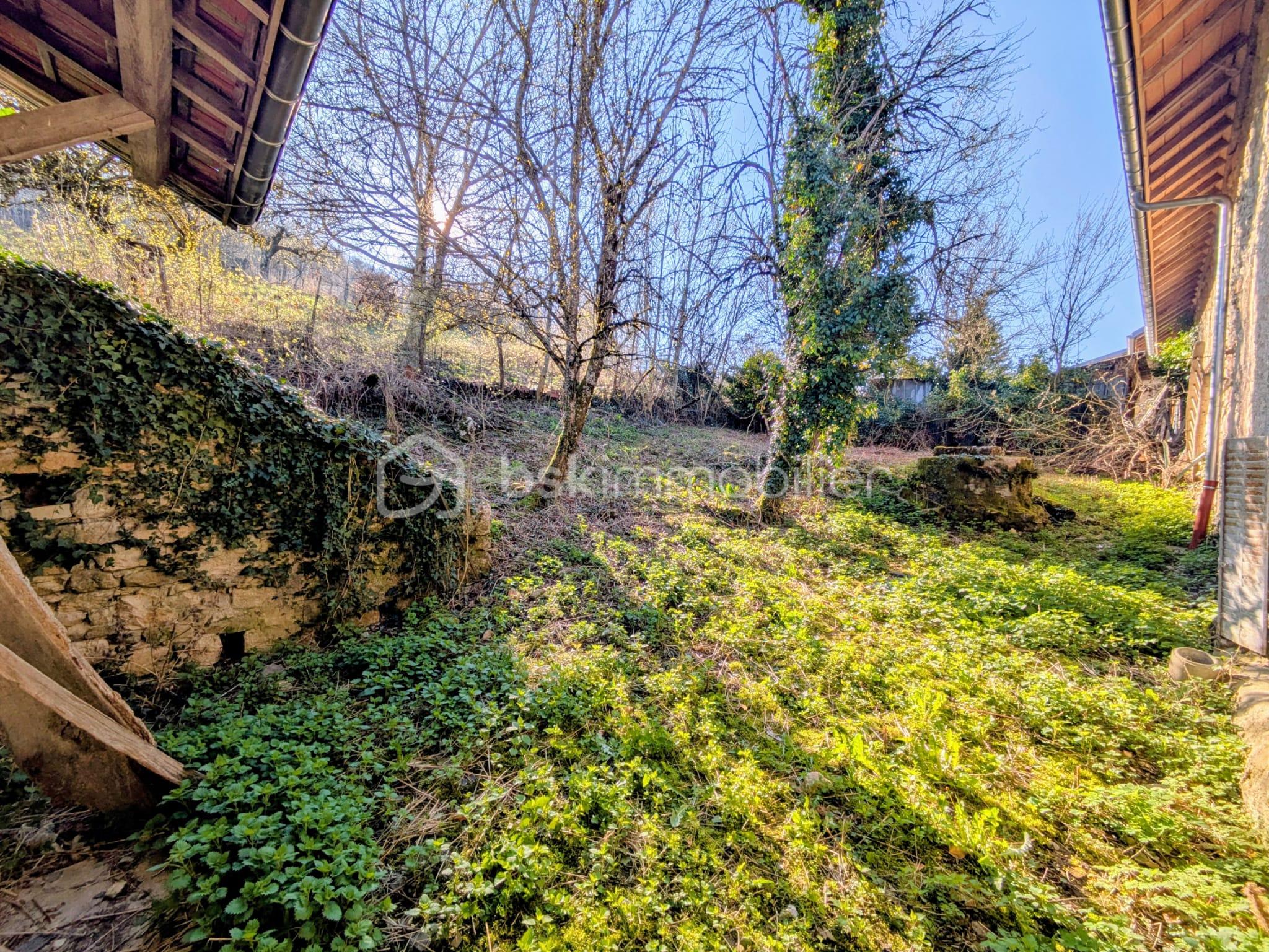 jardin.jpeg