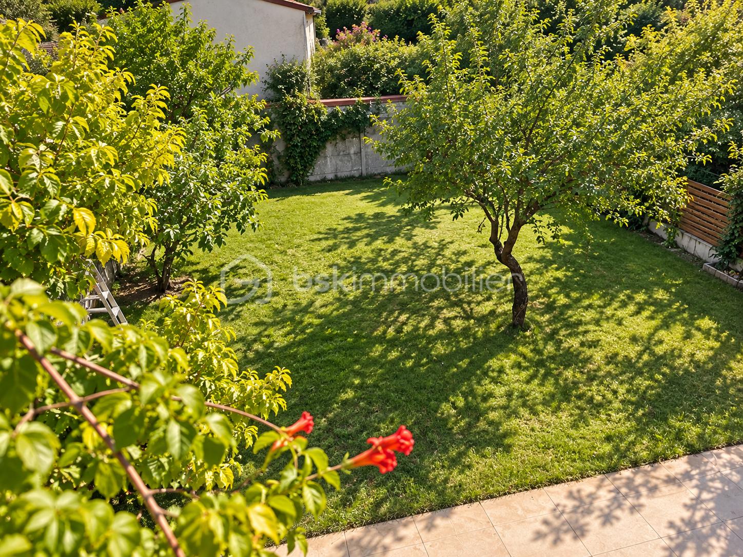 jardin vue de haut.png