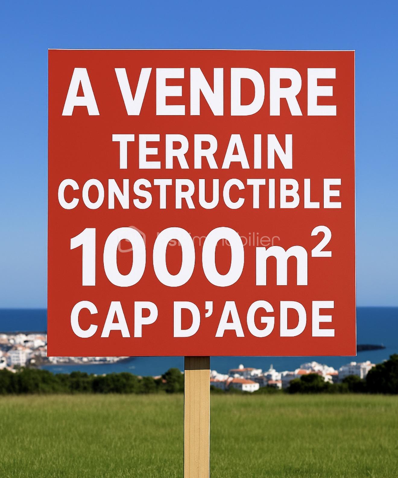 Terrain de 1 000 m² - IMG_1083.jpg