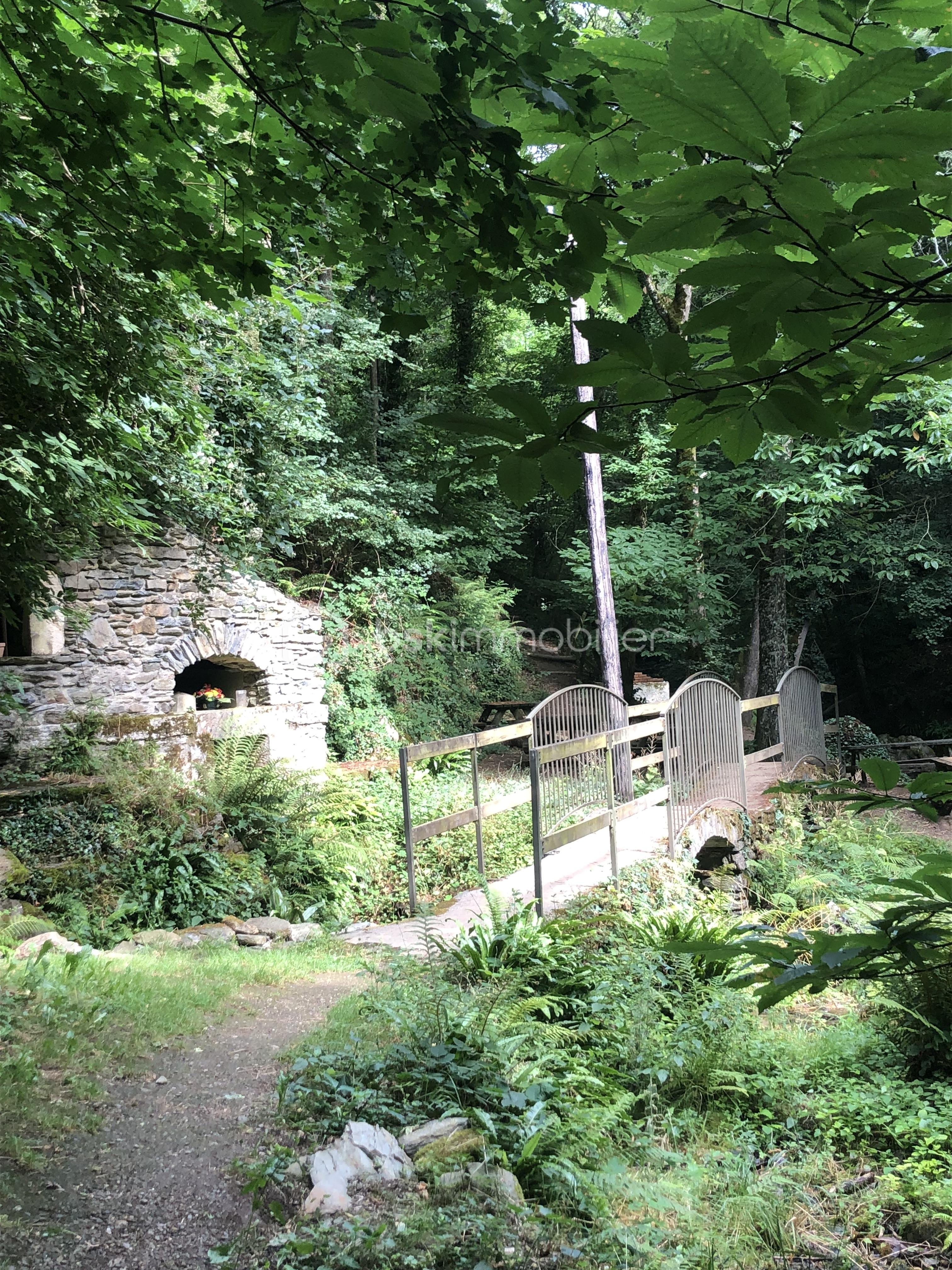 IMG_4580.jpeg