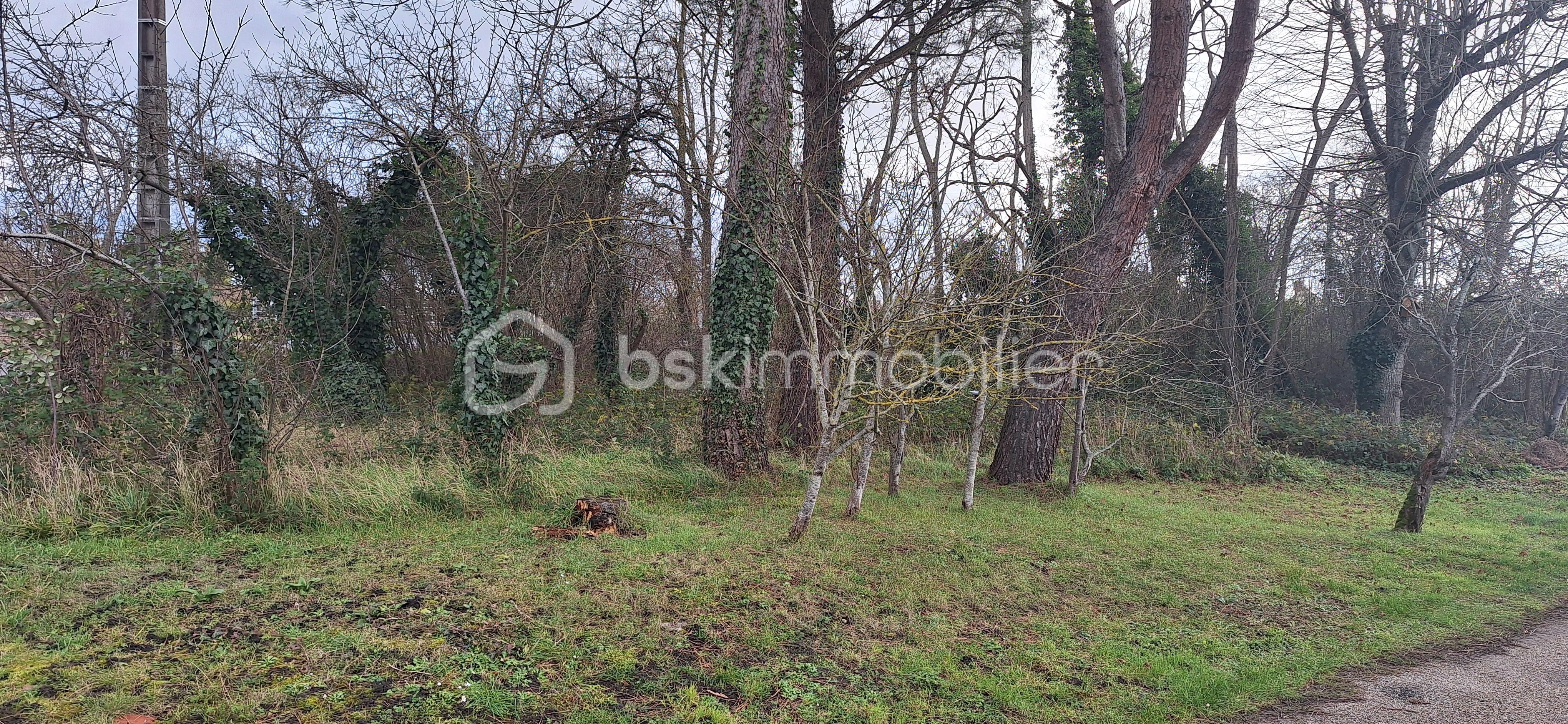 Maison ancienne de 110 m² - 20260110_111243.jpg